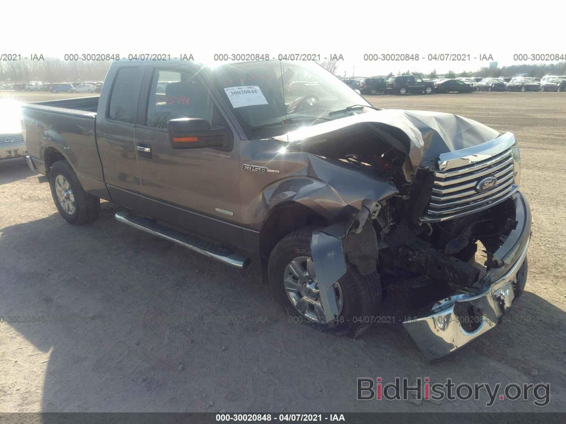 Photo 1FTFX1ET0CFA52017 - FORD F-150 2012