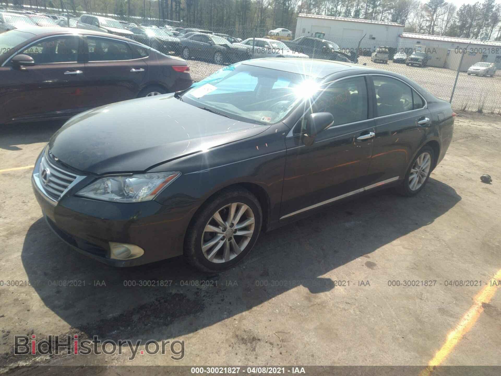 2010 LEXUS ES 350 - VIN: JTHBK1EG1A2348120 - Фото 2