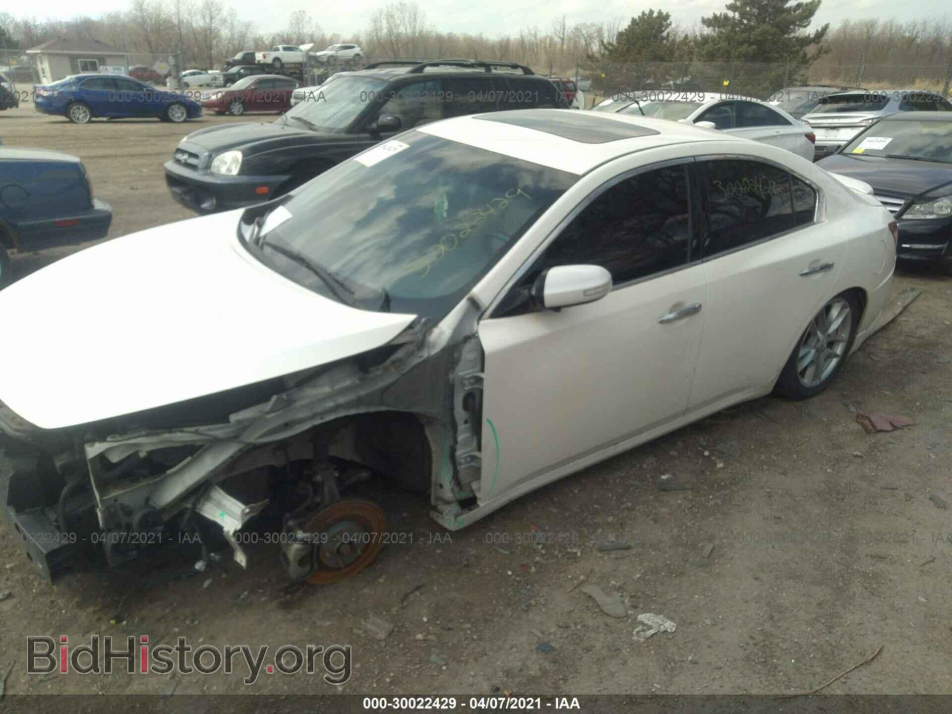2010 NISSAN MAXIMA - VIN: 1N4AA5AP1AC871683 - Фото 2
