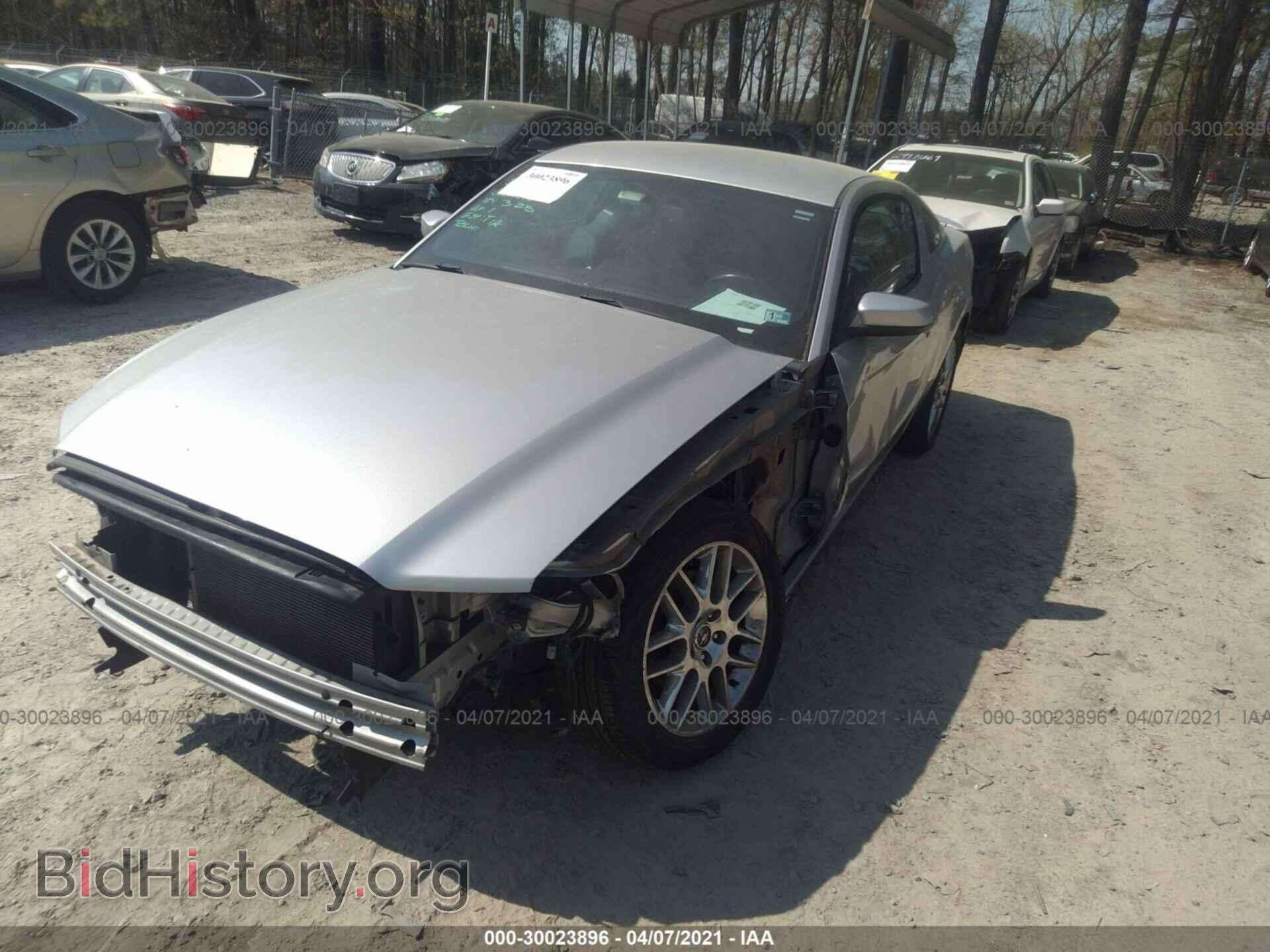 2013 FORD MUSTANG - VIN: 1ZVBP8AM8D5258633 - Фото 2