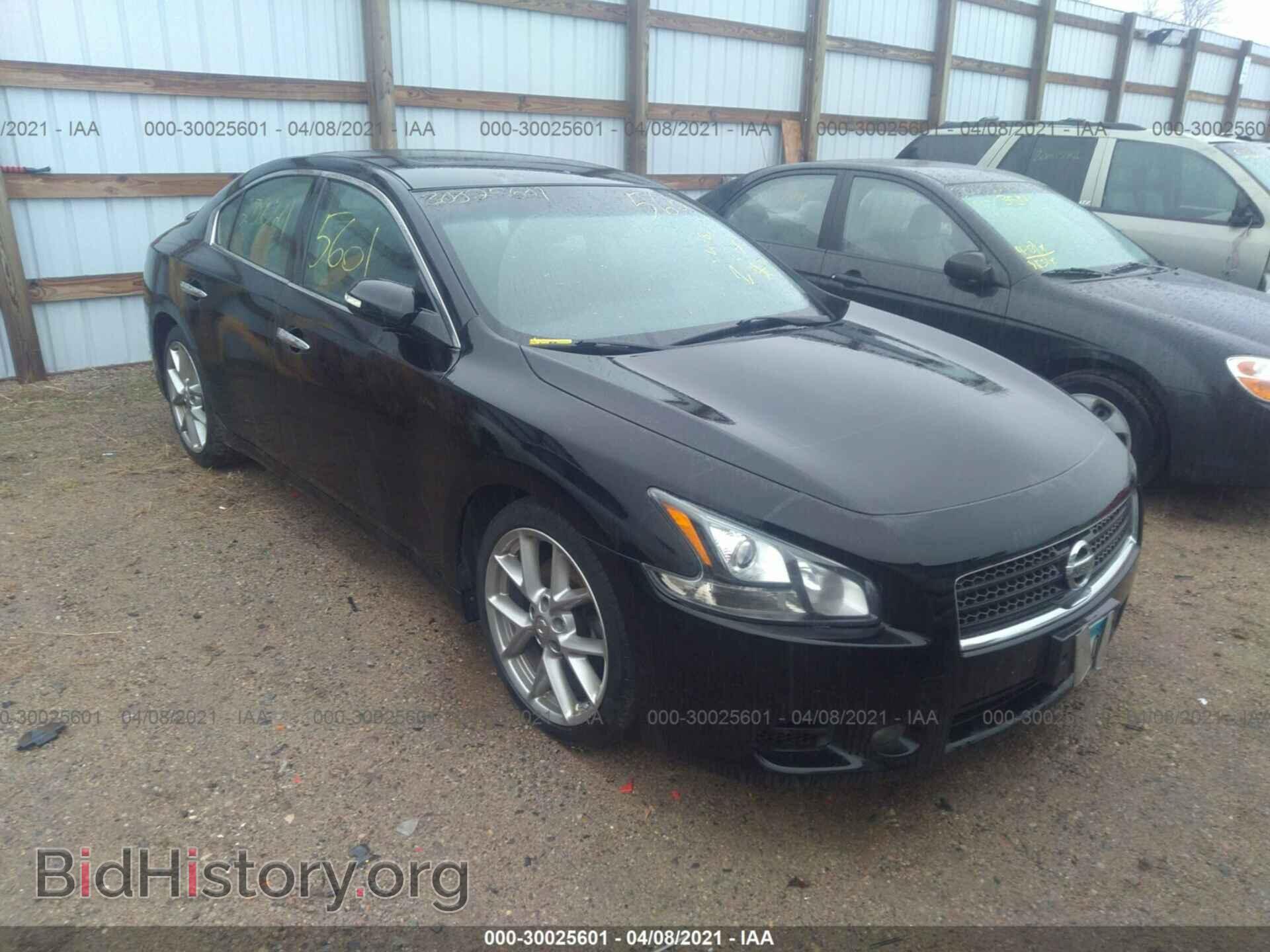 Фотография 1N4AA5AP1BC842752 - NISSAN MAXIMA 2011