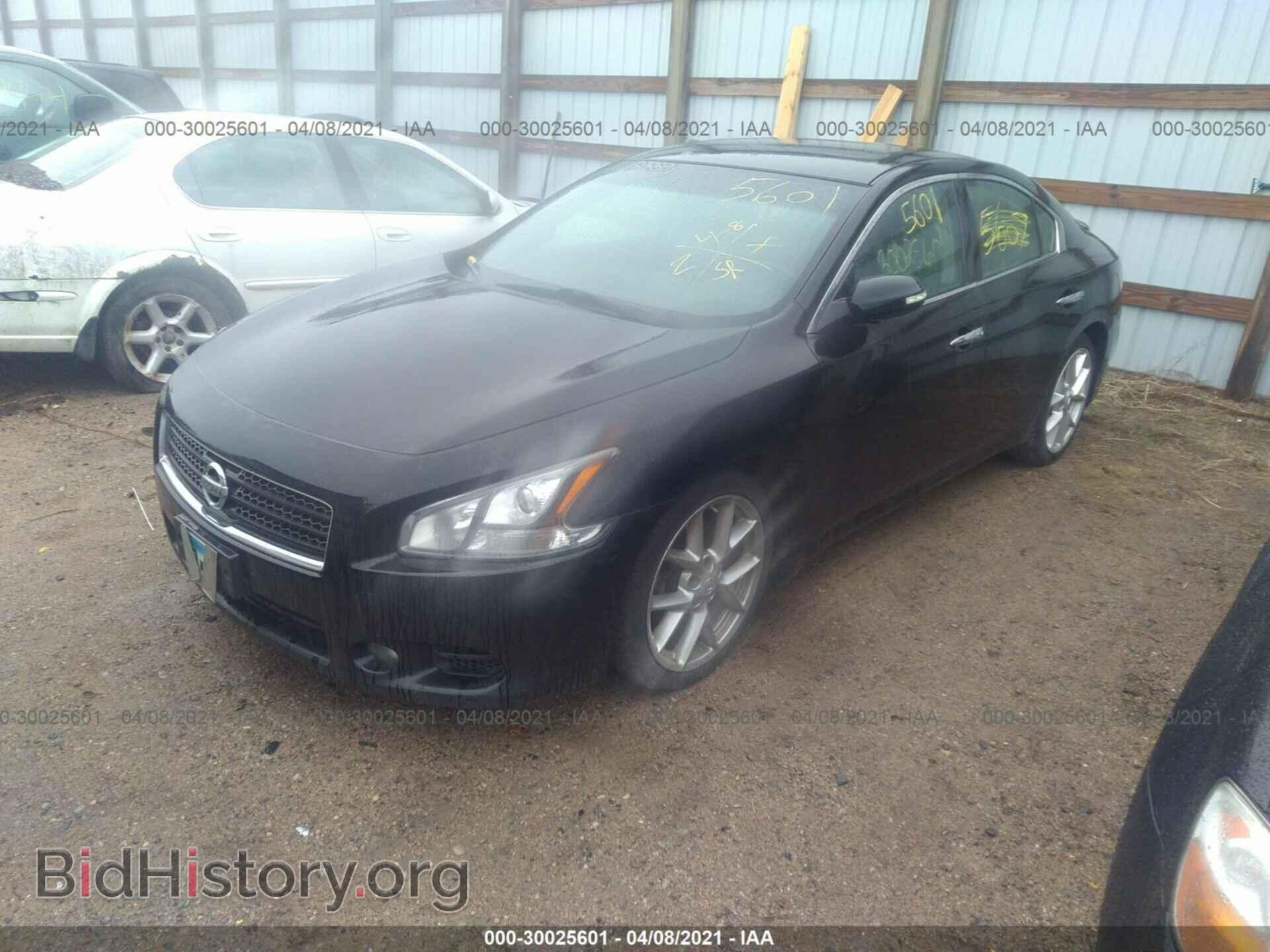 2011 NISSAN MAXIMA - VIN: 1N4AA5AP1BC842752 - Фото 2