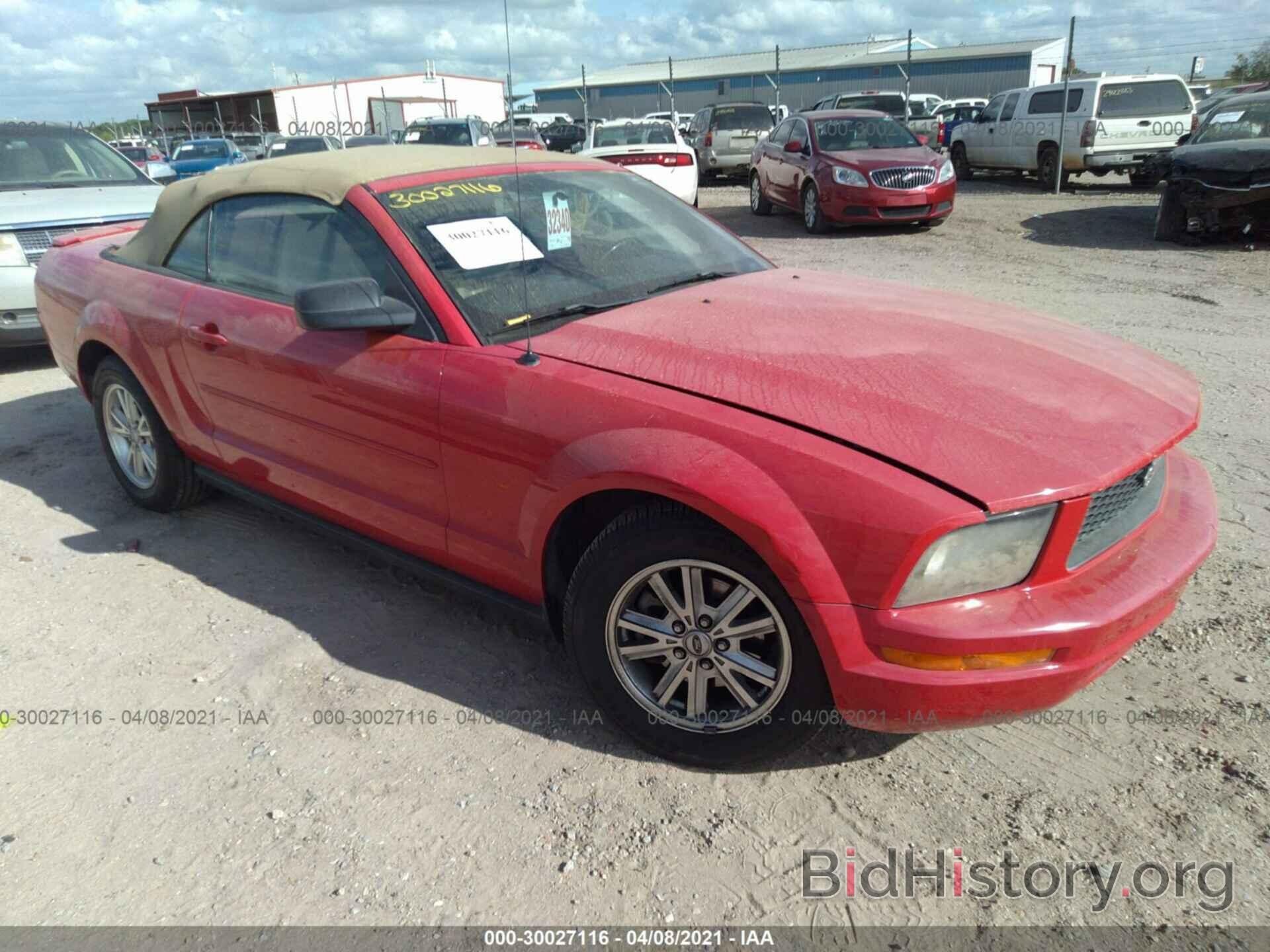 Photo 1ZVFT84N875245287 - FORD MUSTANG 2007