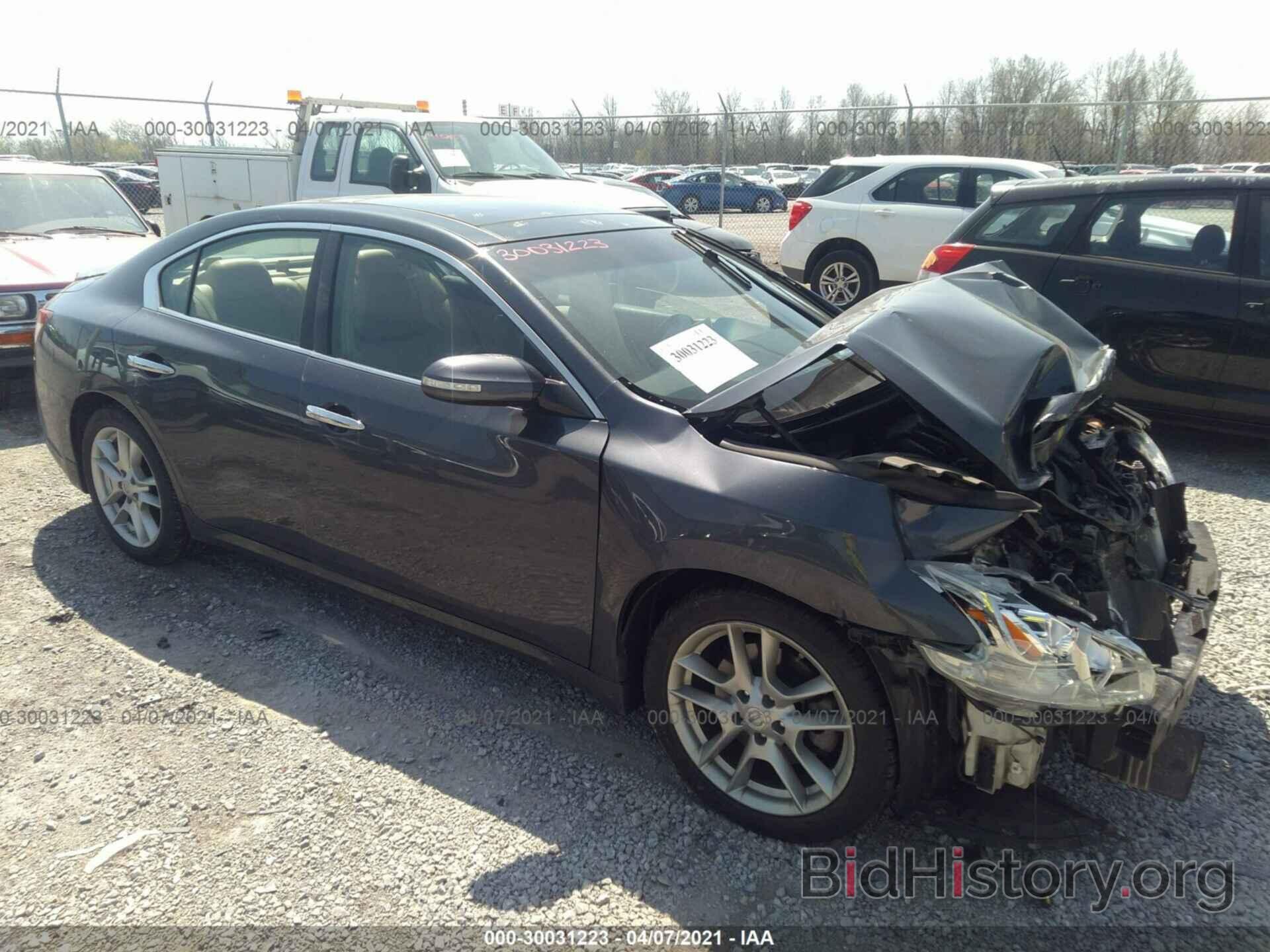 Photo 1N4AA5AP7AC838624 - NISSAN MAXIMA 2010