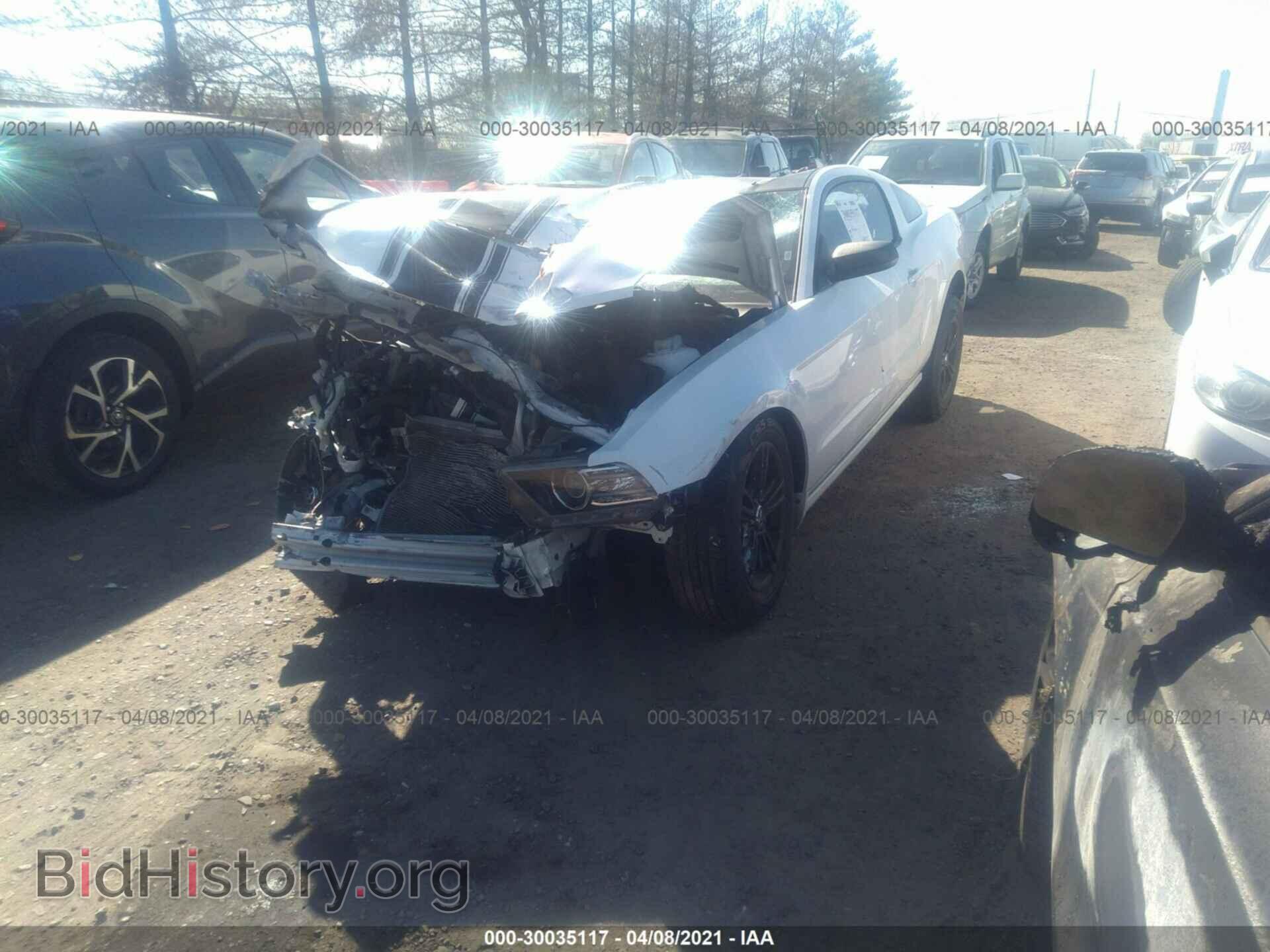 2014 FORD MUSTANG - VIN: 1ZVBP8AM9E5236206 - Фото 2
