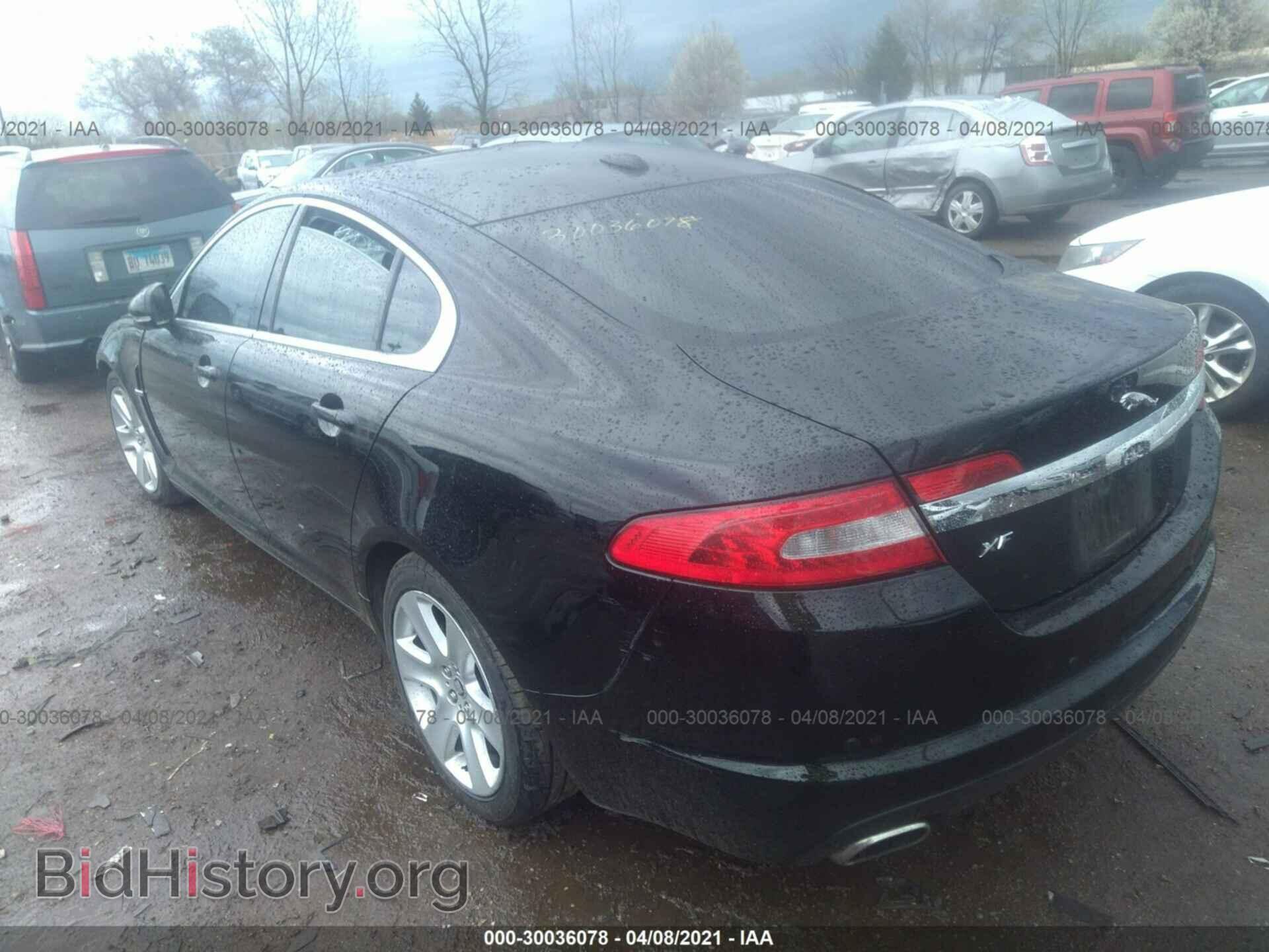 2011 JAGUAR XF - VIN: SAJWA0FB8BLS06427 - Фото 3