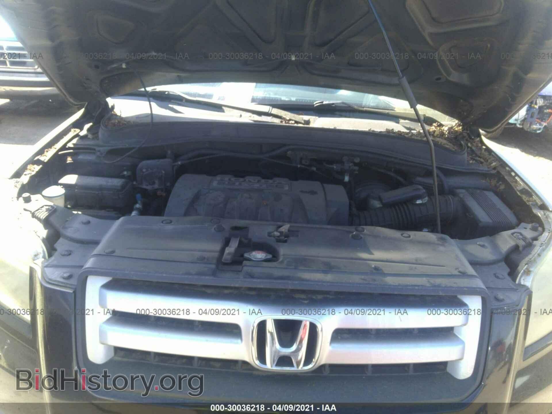 2006 HONDA PILOT - VIN: 5FNYF28476B026481 - Фото 10