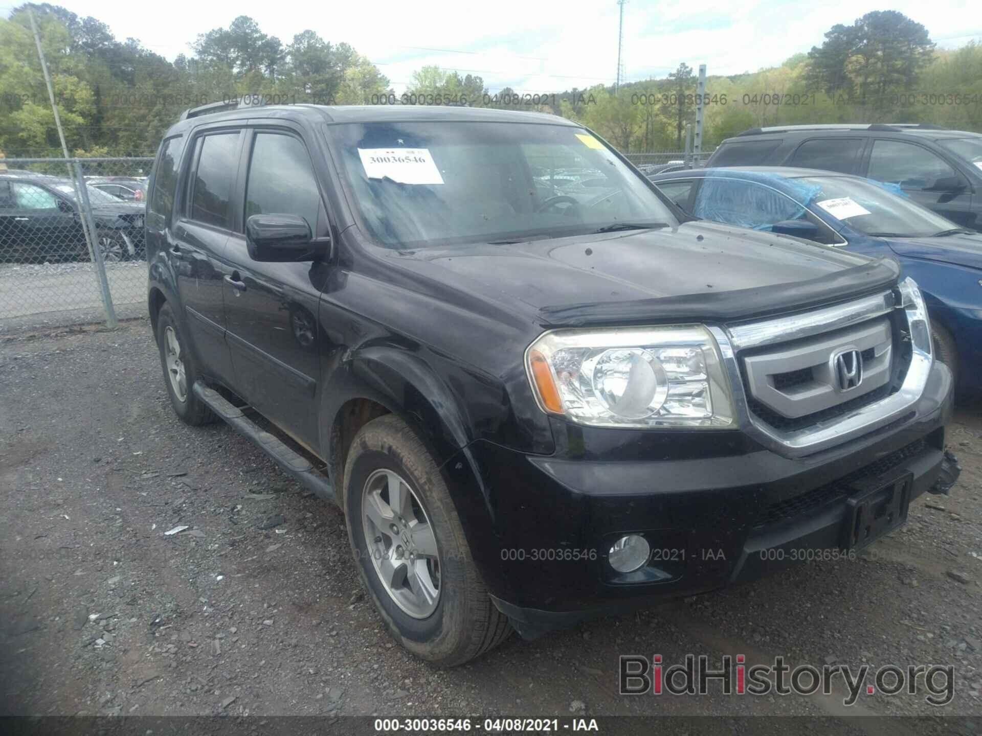 Фотография 5FNYF38579B025964 - HONDA PILOT 2009