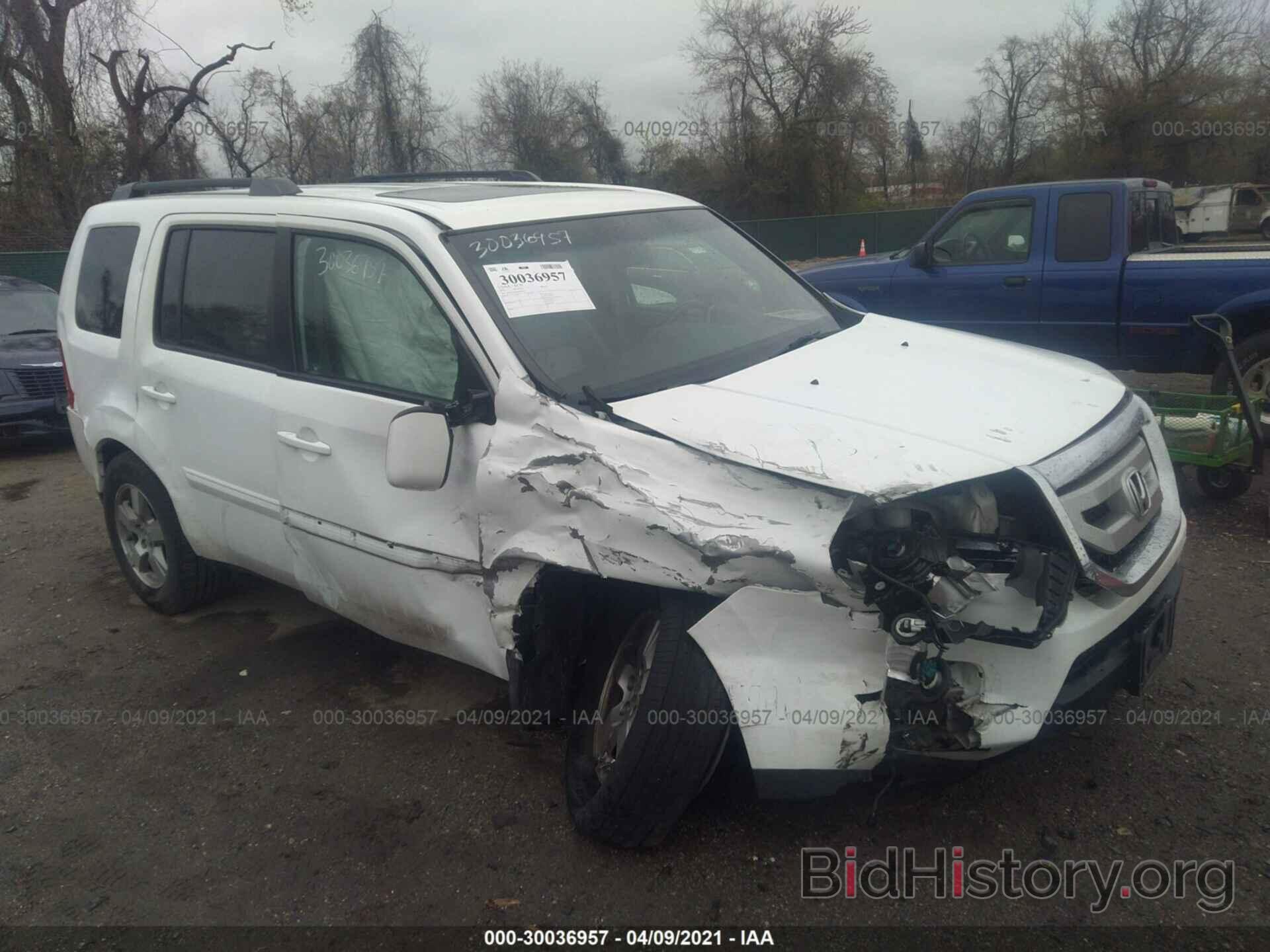 Фотография 5FNYF4H58BB003094 - HONDA PILOT 2011
