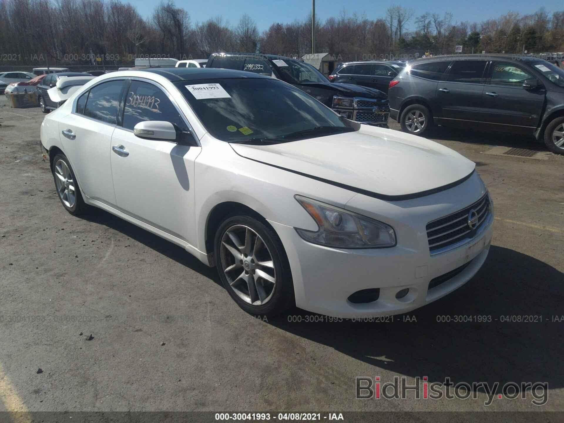 Photo 1N4AA5AP0BC829541 - NISSAN MAXIMA 2011