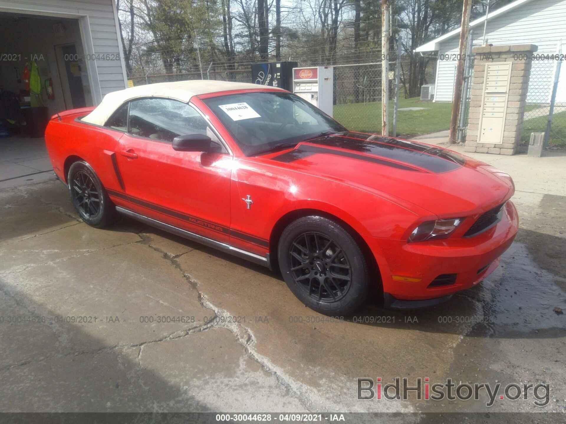 Photo 1ZVBP8EM1B5159398 - FORD MUSTANG 2011