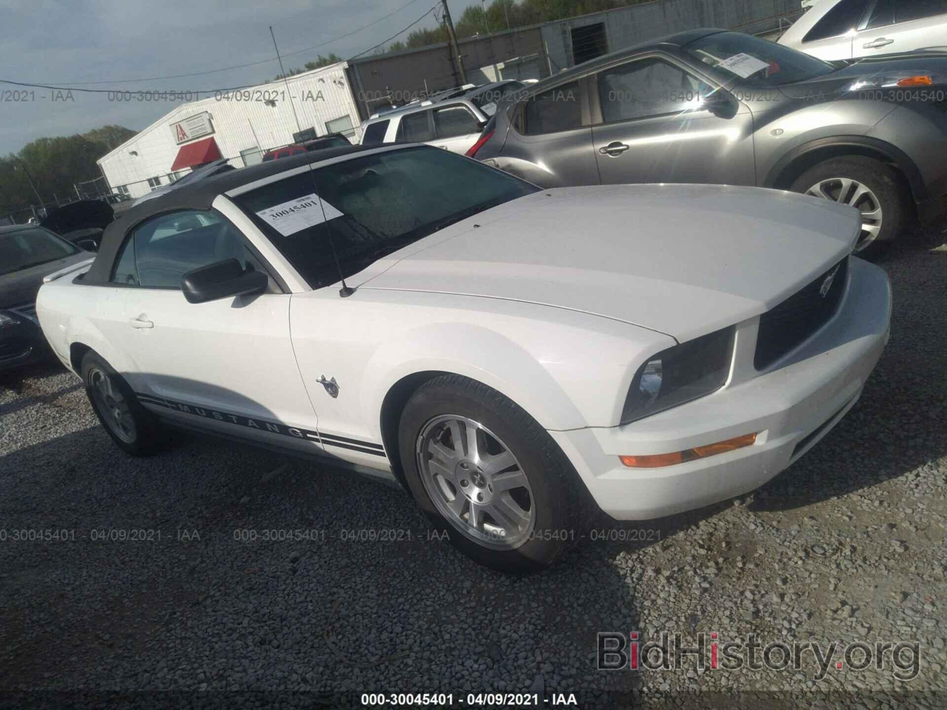 Photo 1ZVHT84N895109169 - FORD MUSTANG 2009