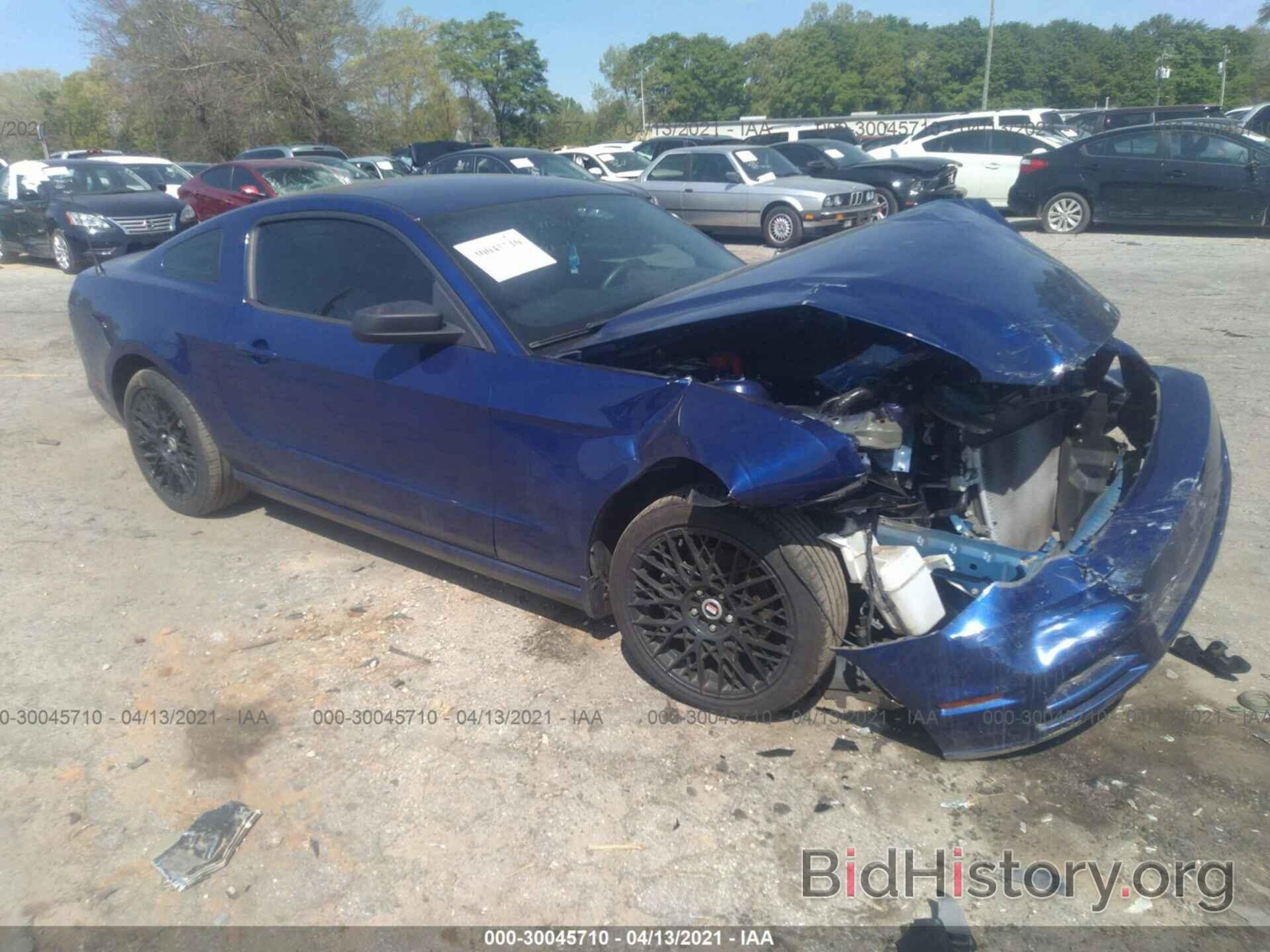 Photo 1ZVBP8AM2E5324272 - FORD MUSTANG 2014