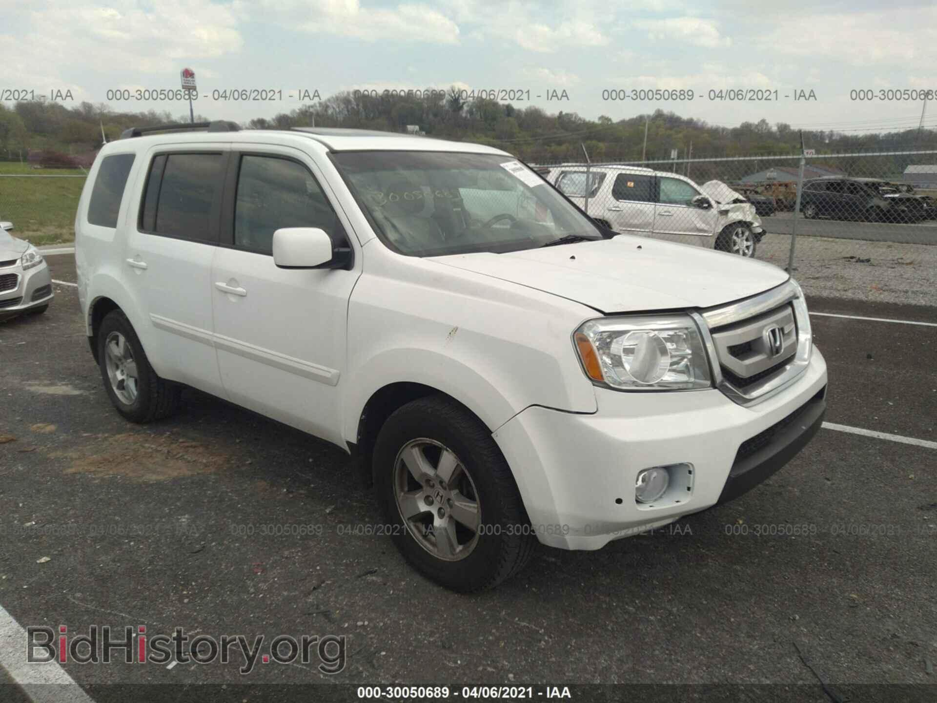 Фотография 5FNYF4H57BB070480 - HONDA PILOT 2011