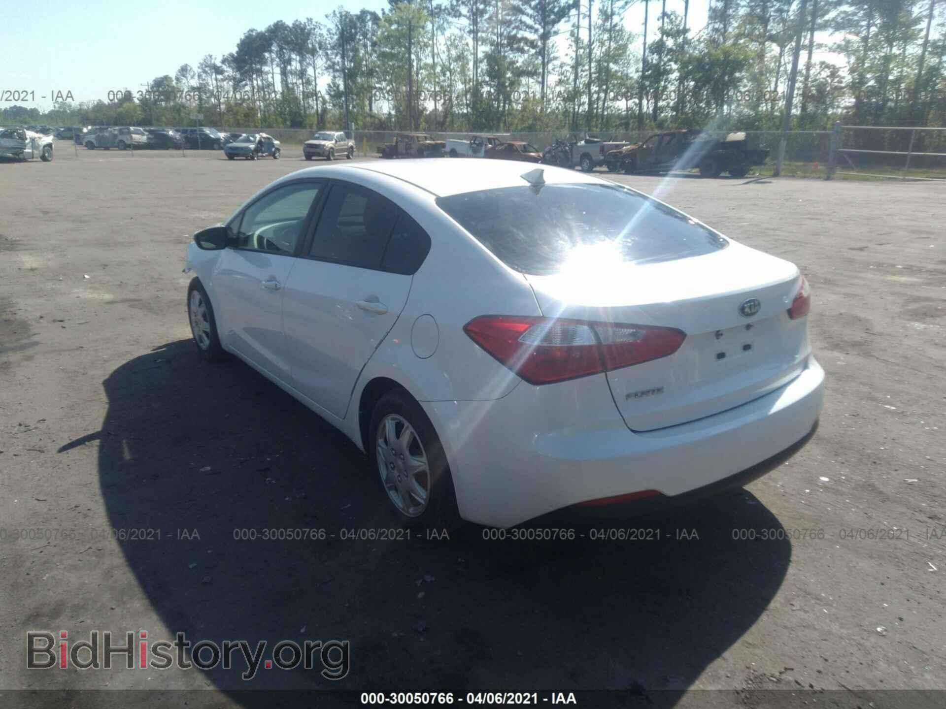2015 KIA FORTE - VIN: KNAFX4A67F5319694 - Фото 3