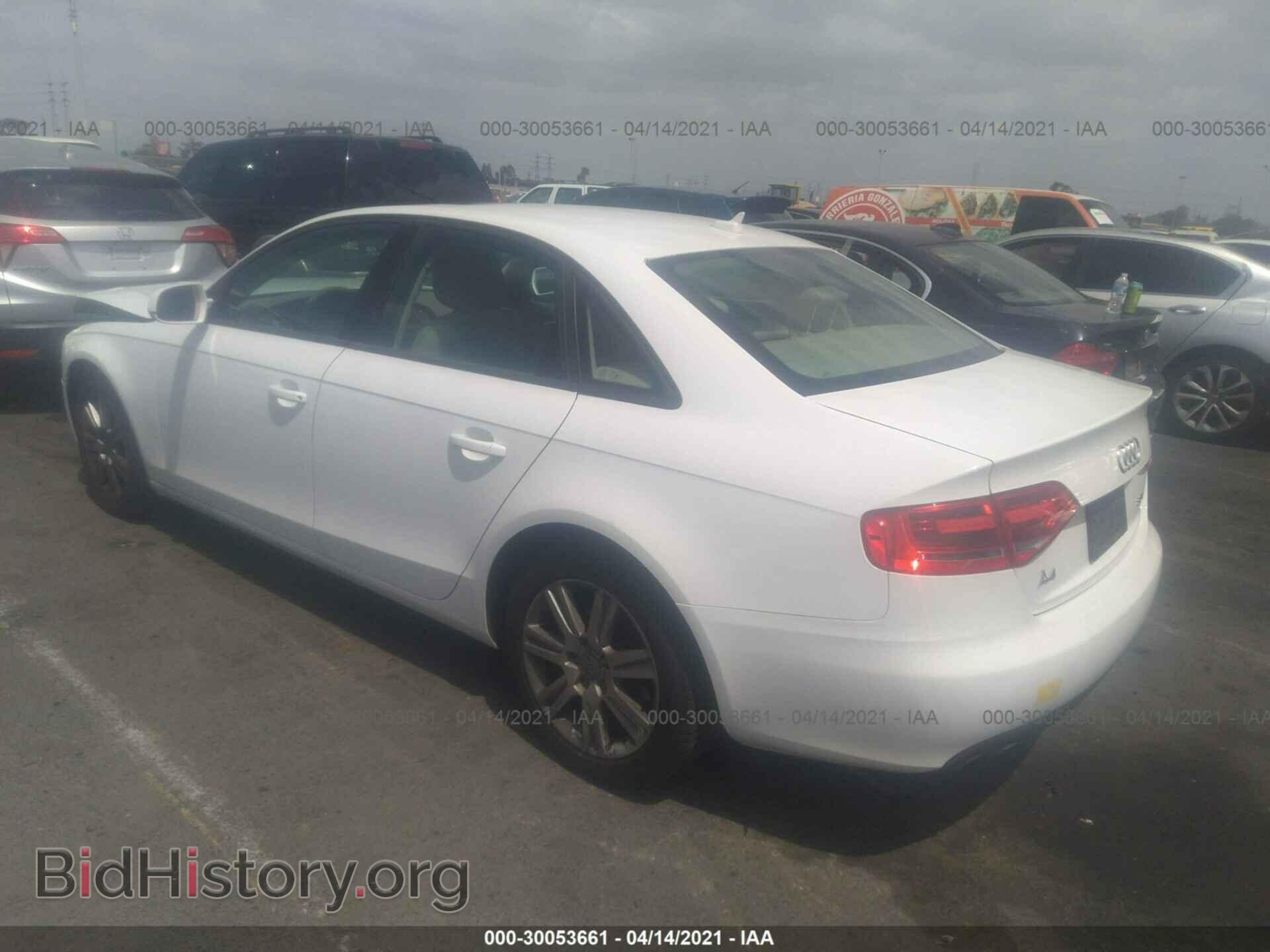 2010 AUDI A4 - VIN: WAUAFAFL1AN011844 - Фото 3