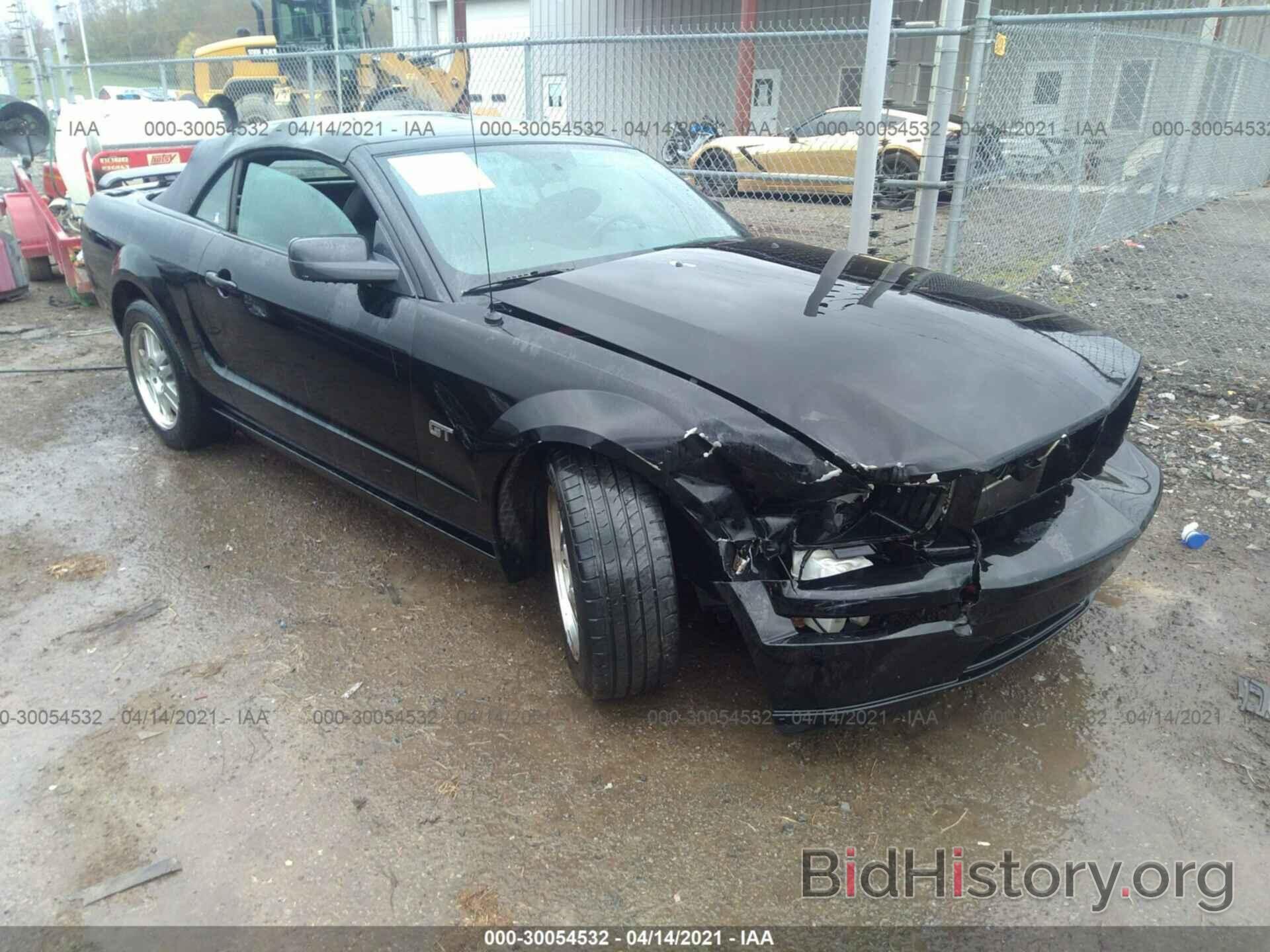 Photo 1ZVFT85H765121163 - FORD MUSTANG 2006