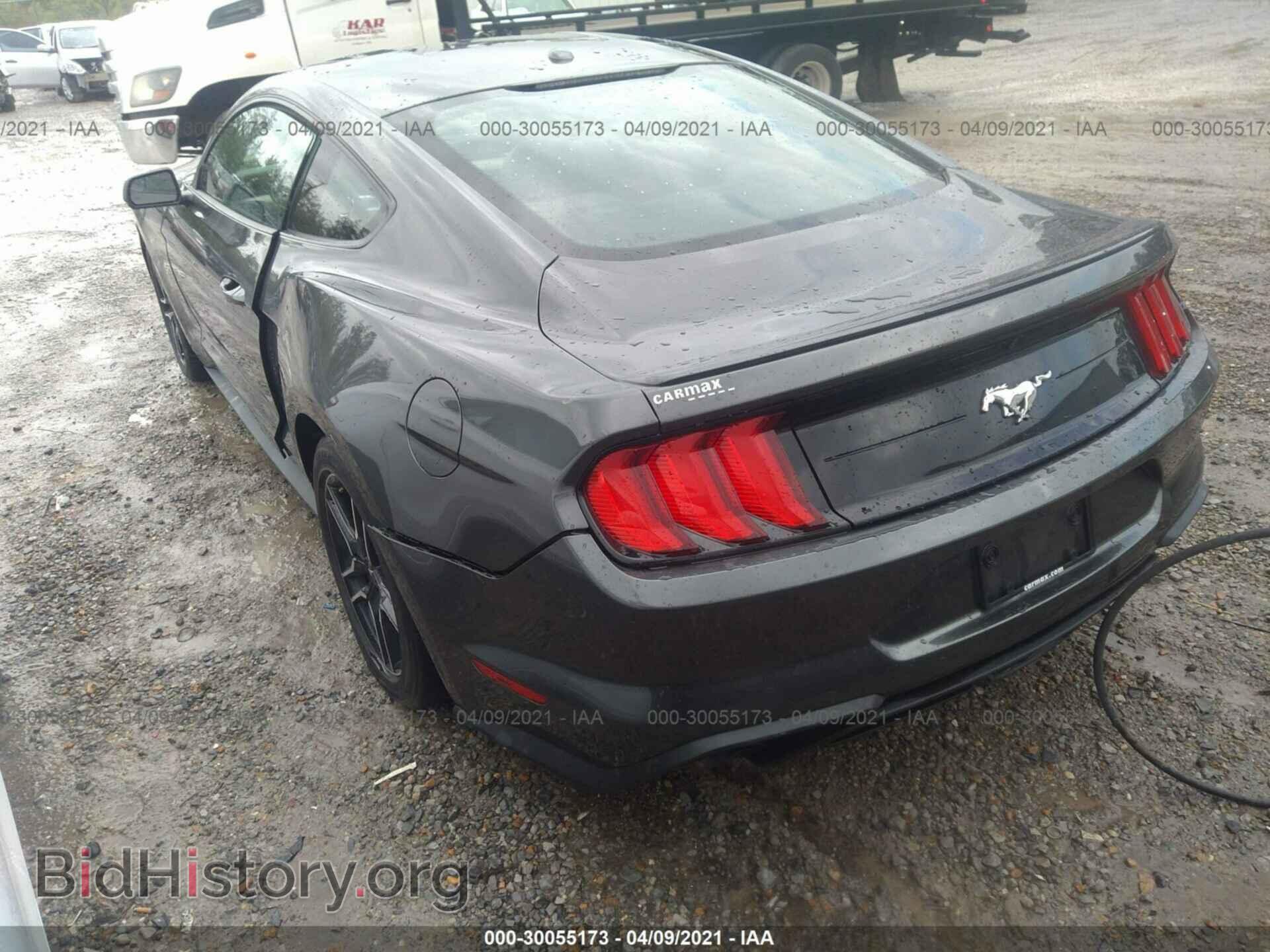 2019 FORD MUSTANG - VIN: 1FA6P8TH8K5172570 - Фото 3
