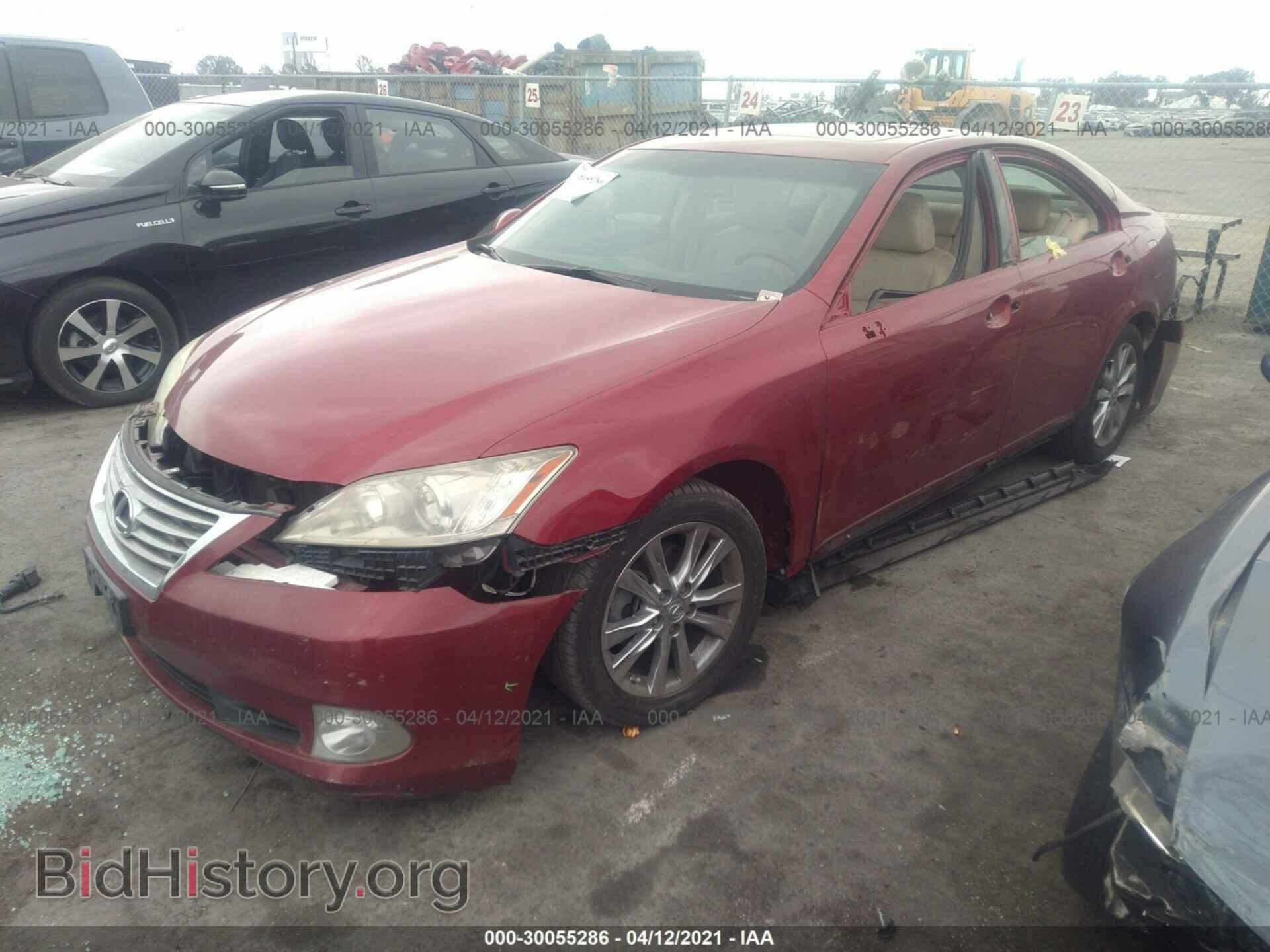 2011 LEXUS ES 350 - VIN: JTHBK1EG1B2437882 - Фото 2