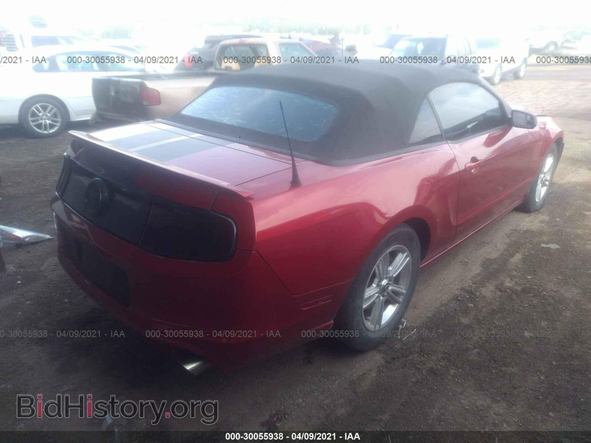 2013 FORD MUSTANG - VIN: 1ZVBP8EM9D5225022 - Фото 4