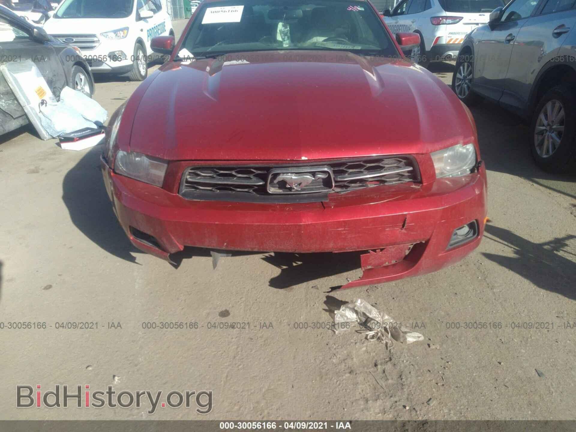 2012 FORD MUSTANG - VIN: 1ZVBP8AM9C5264729 - Фото 6