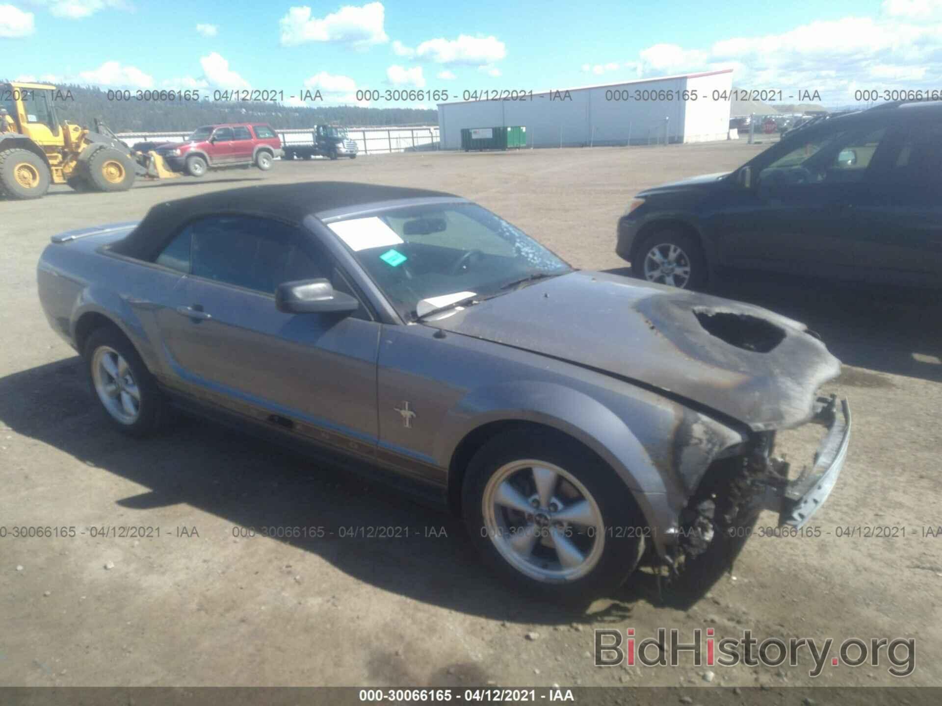 Photo 1ZVFT84N975365938 - FORD MUSTANG 2007