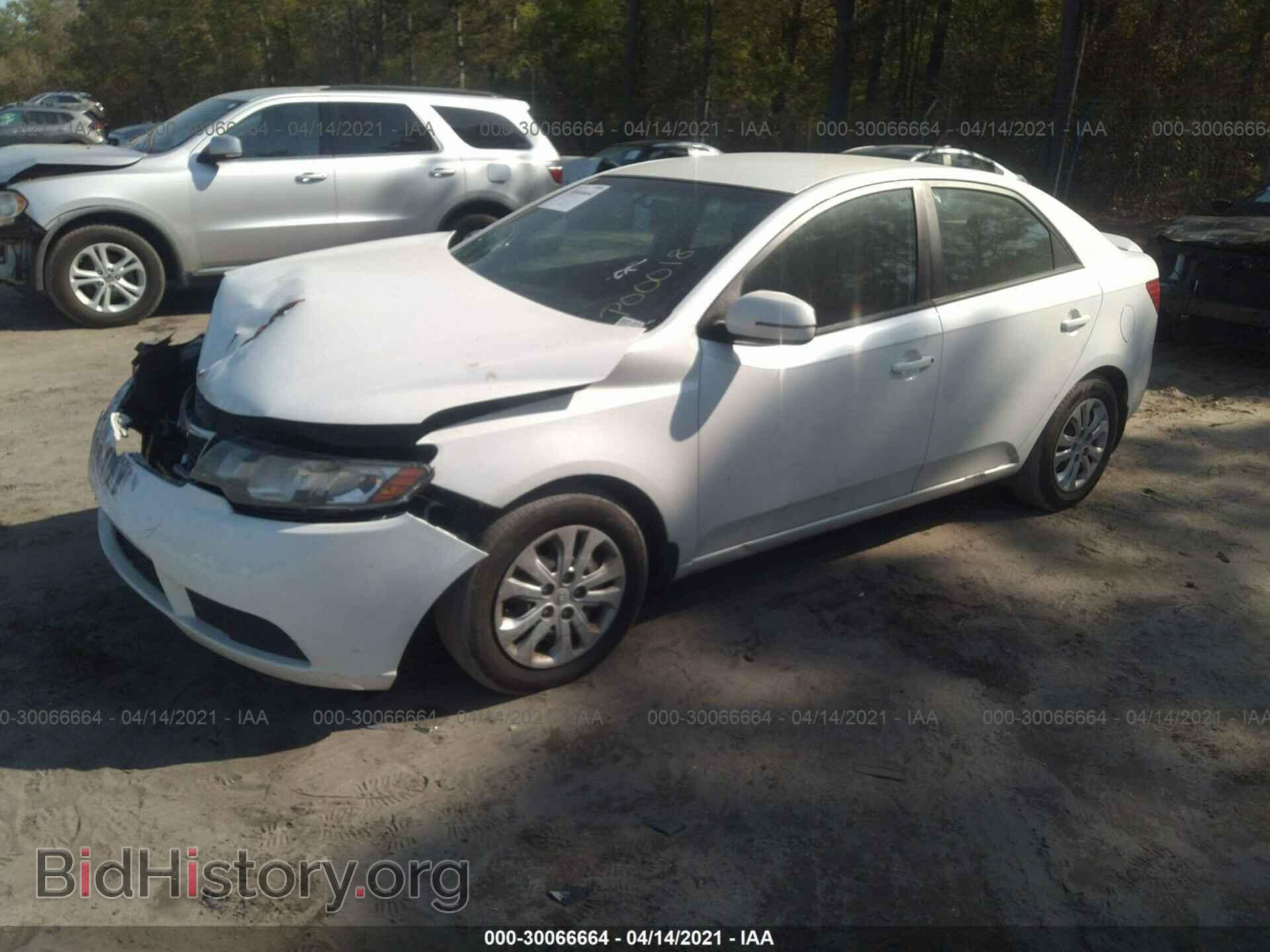 2013 KIA FORTE - VIN: KNAFU4A27D5721475 - Фото 2