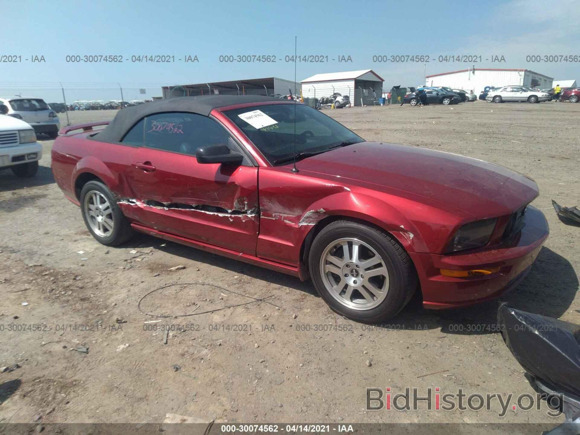 Photo 1ZVHT85H565138178 - FORD MUSTANG 2006