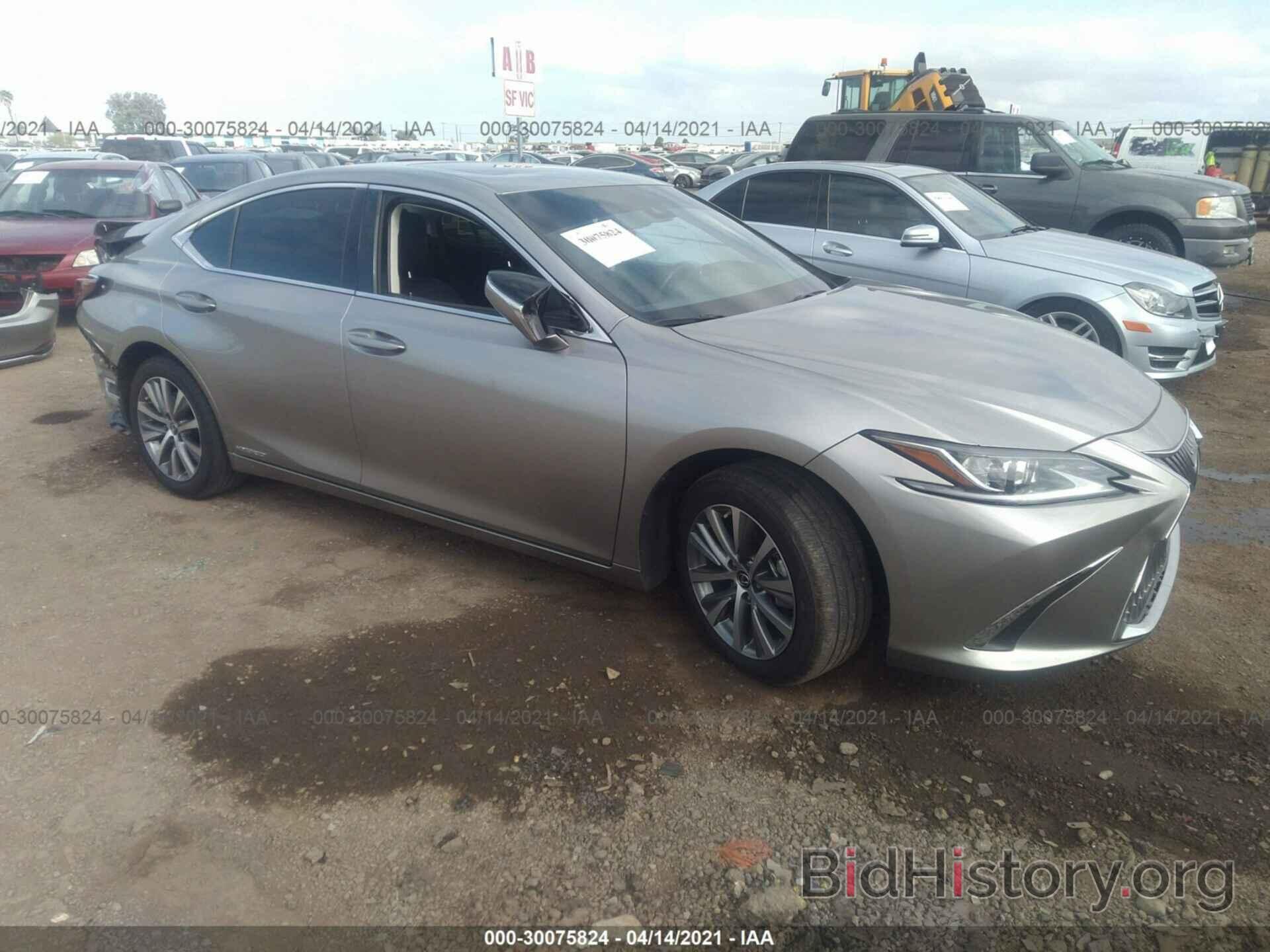 Photo 58AC21B17LU007242 - LEXUS ES 2020