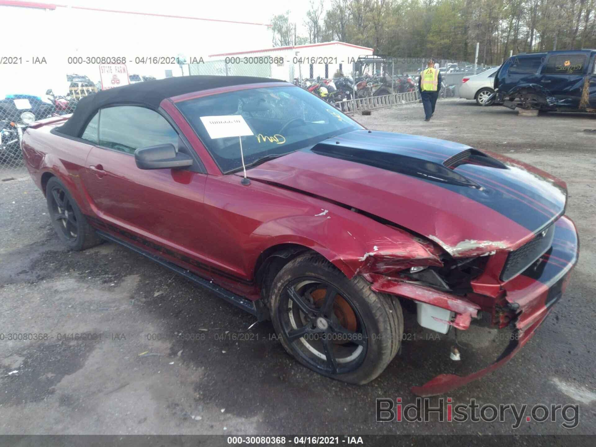 Photo 1ZVFT84N475338372 - FORD MUSTANG 2007