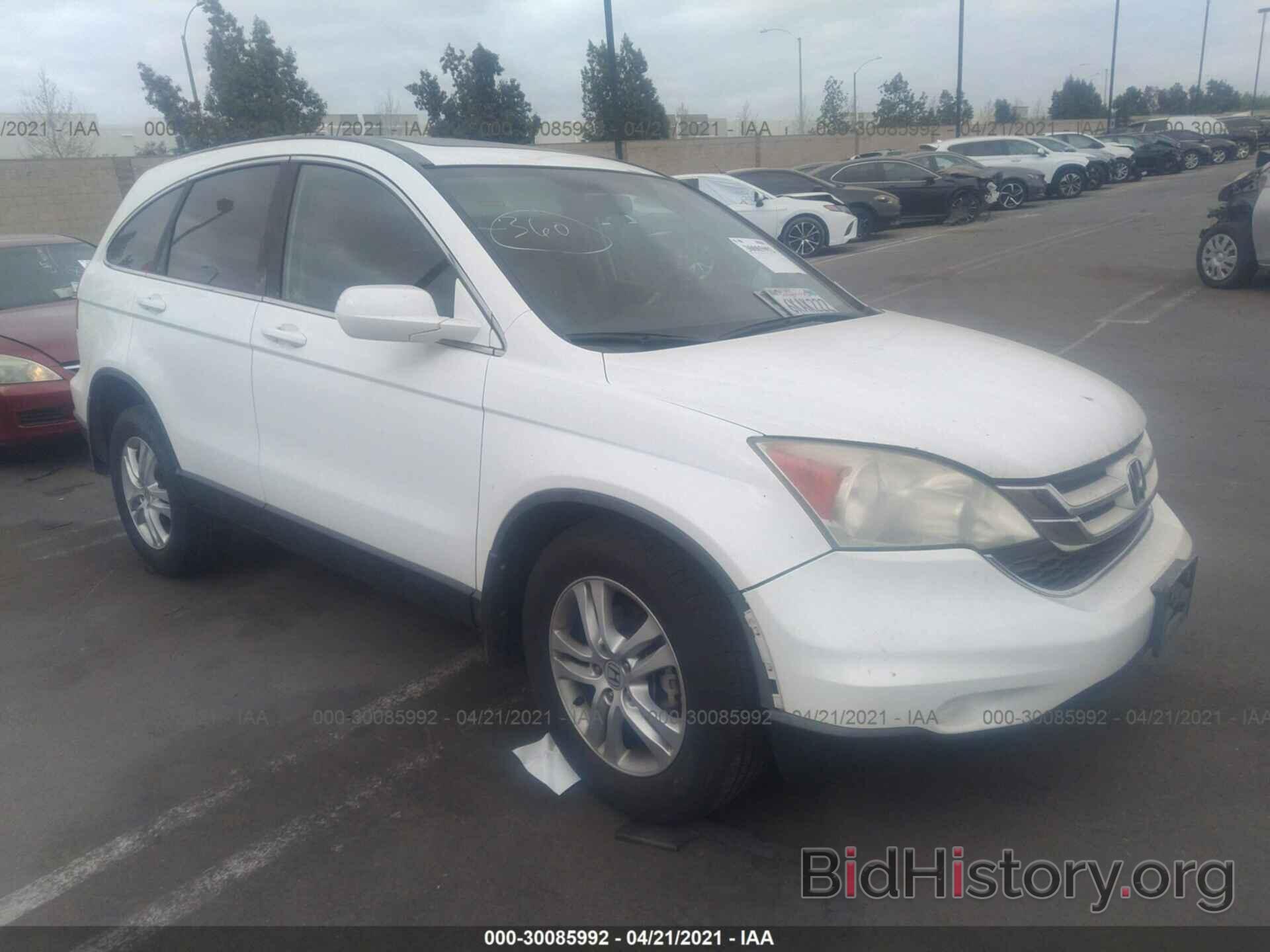 Photo 5J6RE3H71AL018786 - HONDA CR-V 2010