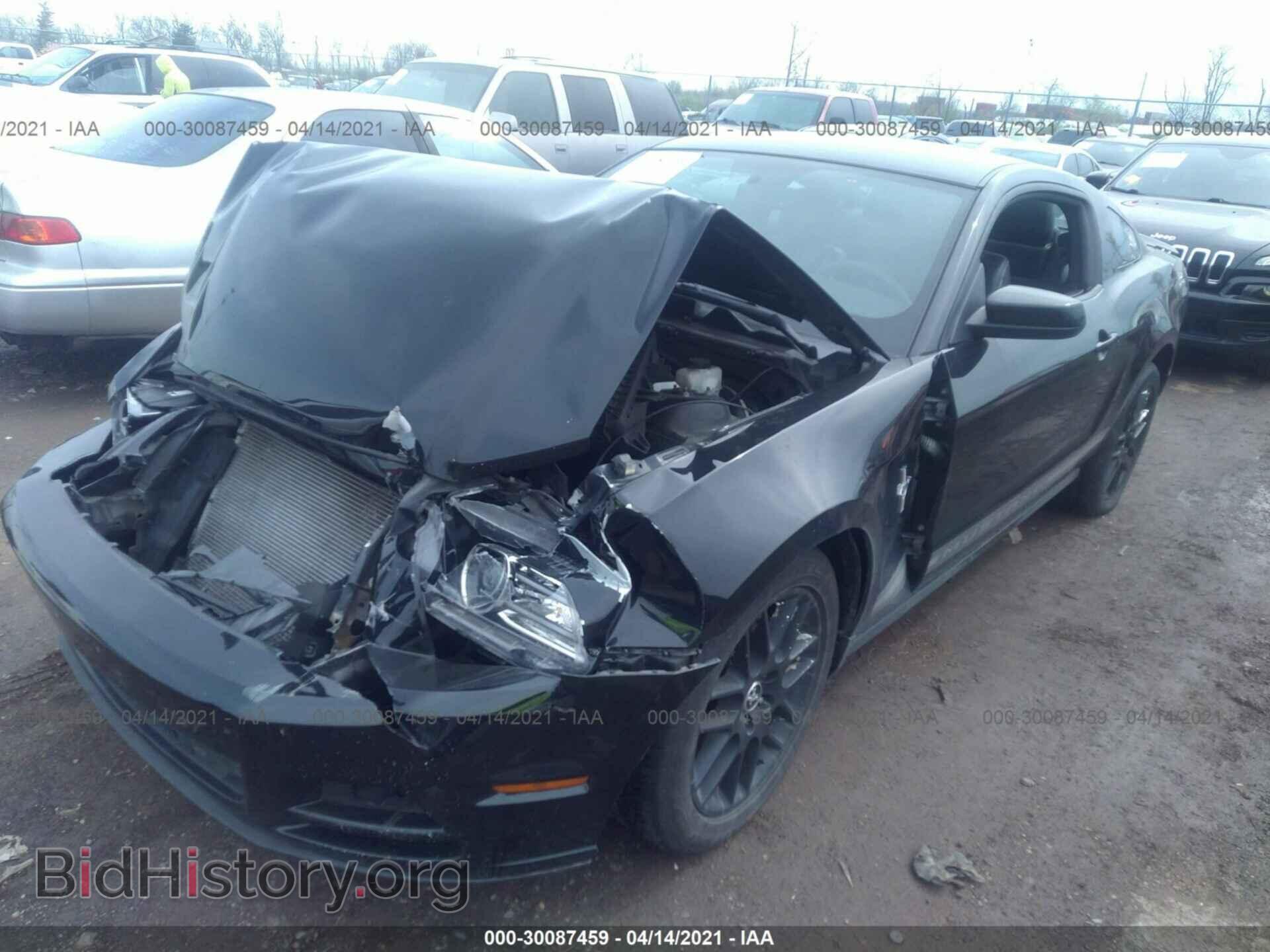 2013 FORD MUSTANG - VIN: 1ZVBP8AM0D5202265 - Фото 2