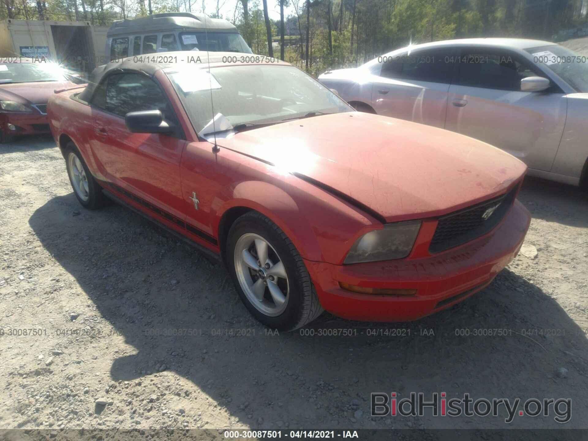 Photo 1ZVHT84N485135699 - FORD MUSTANG 2008