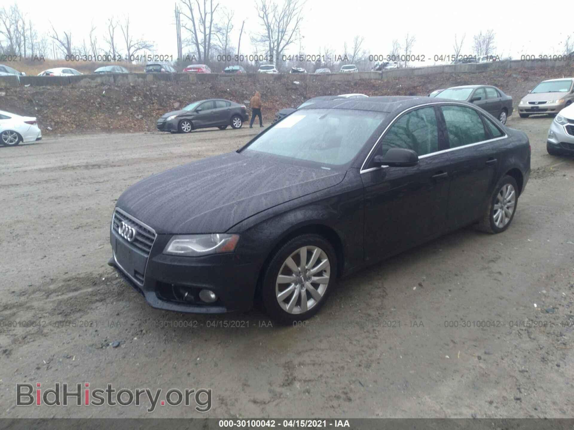 2010 AUDI A4 - VIN: WAUFFAFL2AN063652 - Фото 2