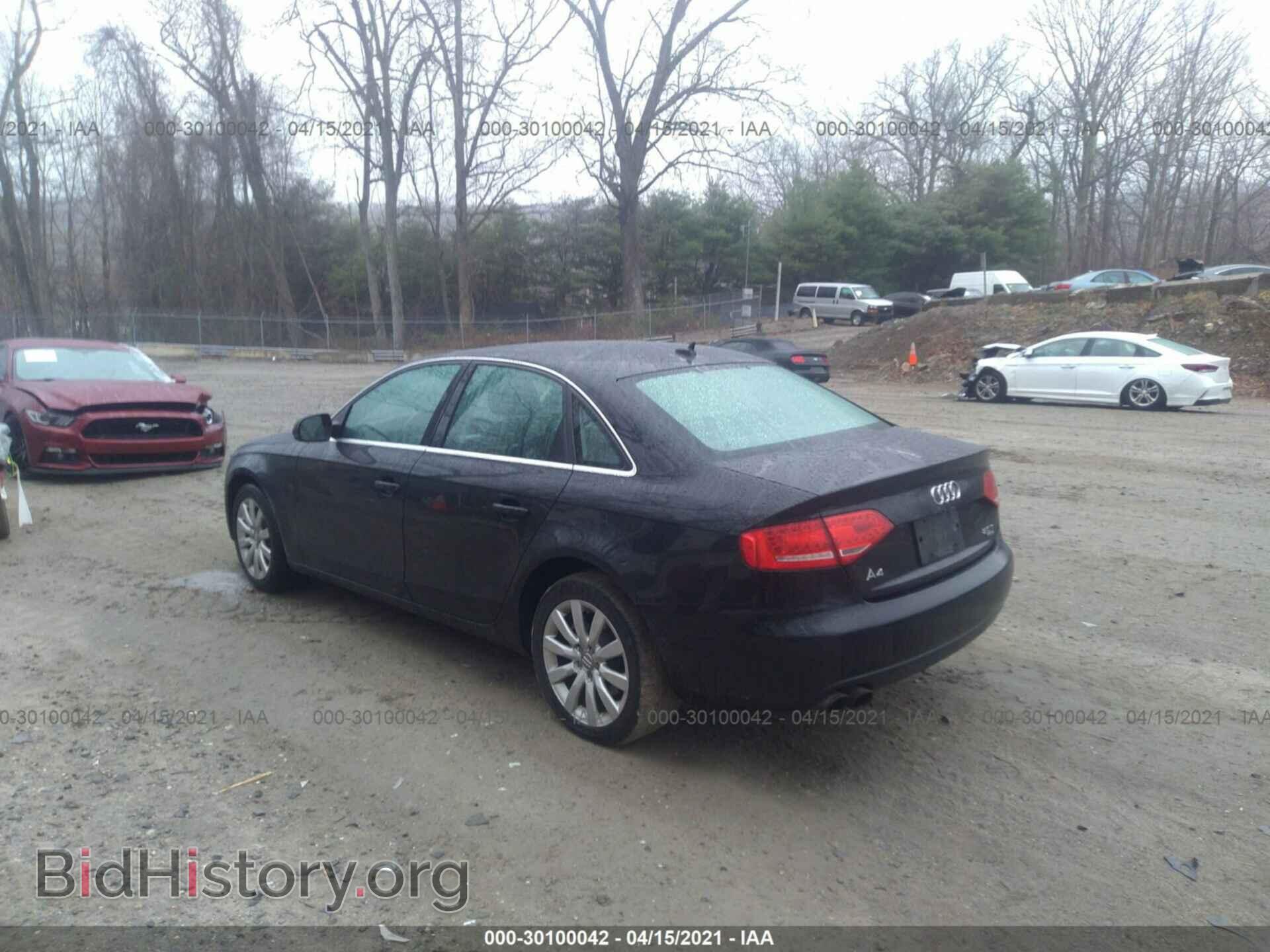 2010 AUDI A4 - VIN: WAUFFAFL2AN063652 - Фото 3