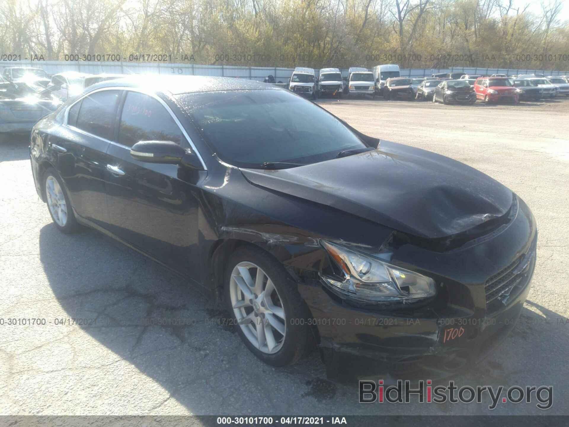 Photo 1N4AA51E89C835953 - NISSAN MAXIMA 2009