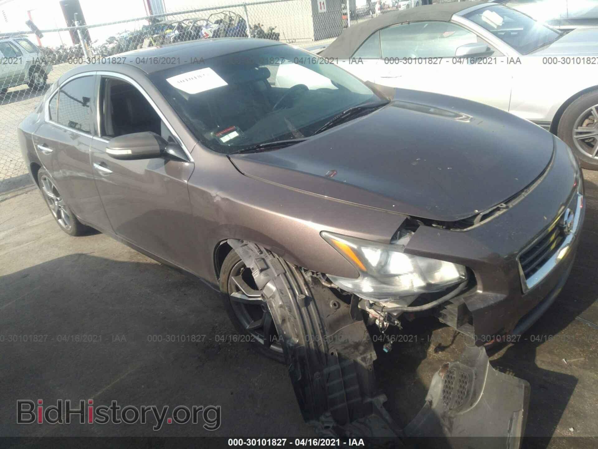 Фотография 1N4AA5AP0DC820972 - NISSAN MAXIMA 2013