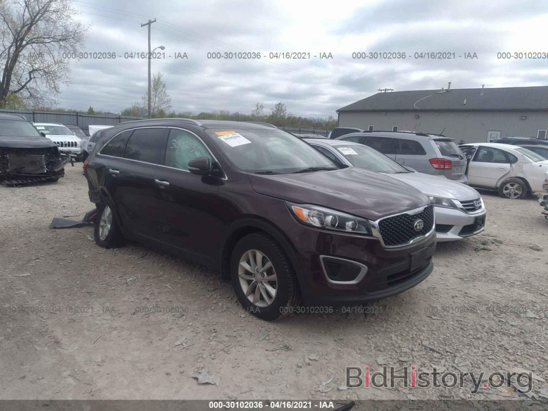 Photo 5XYPG4A36GG026455 - KIA SORENTO 2016