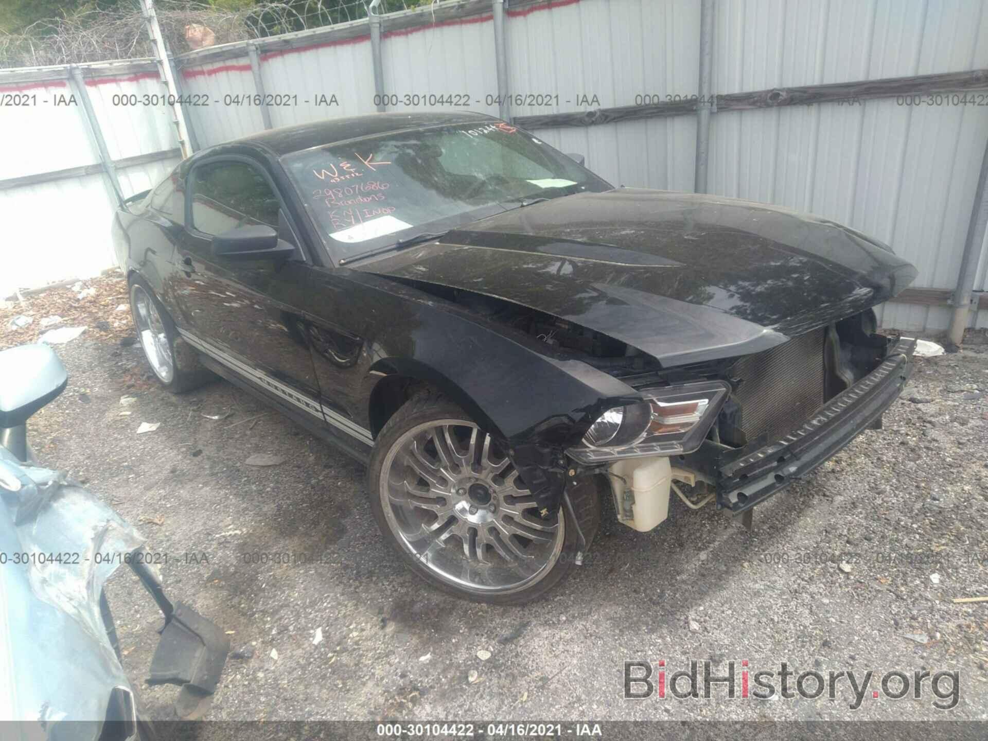 Photo 1ZVBP8AM6B5101244 - FORD MUSTANG 2011