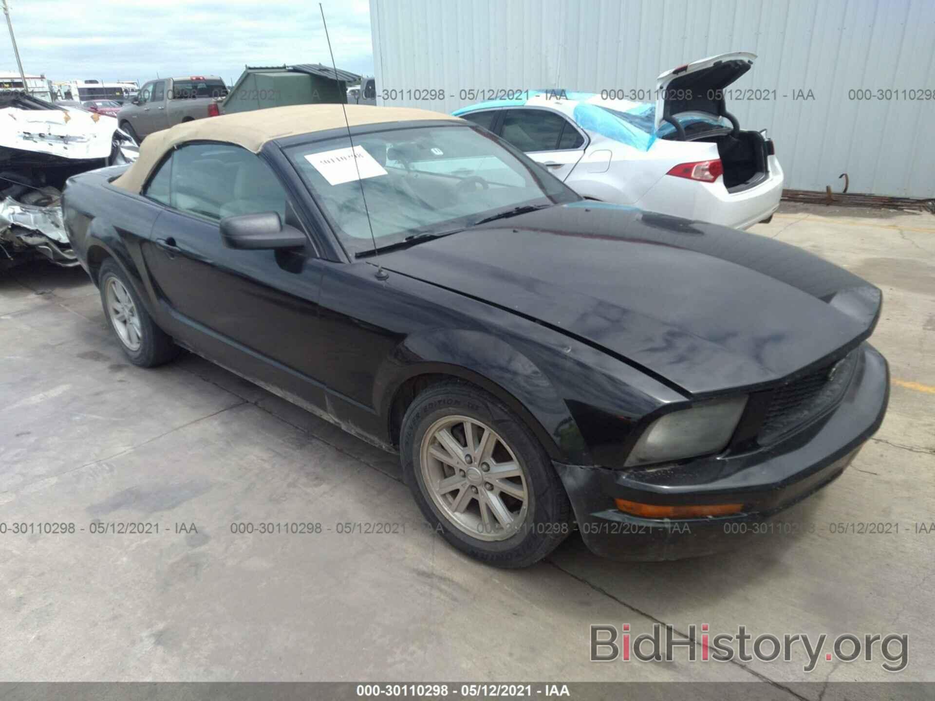 Photo 1ZVFT84N675307995 - FORD MUSTANG 2007