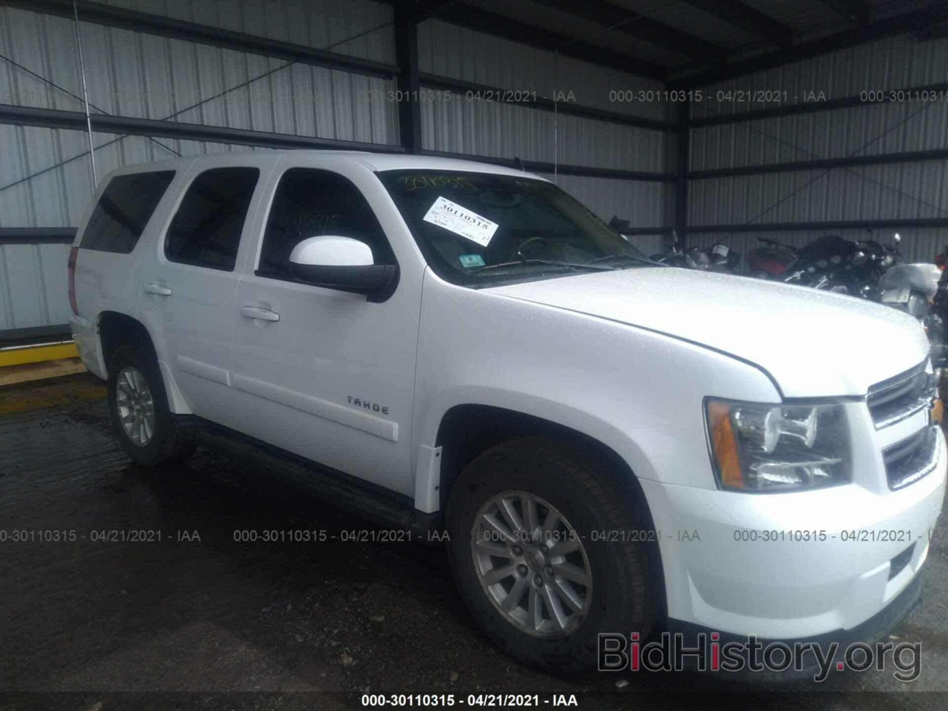 Photo 1GNFK13539R159306 - CHEVROLET TAHOE HYBRID 2009