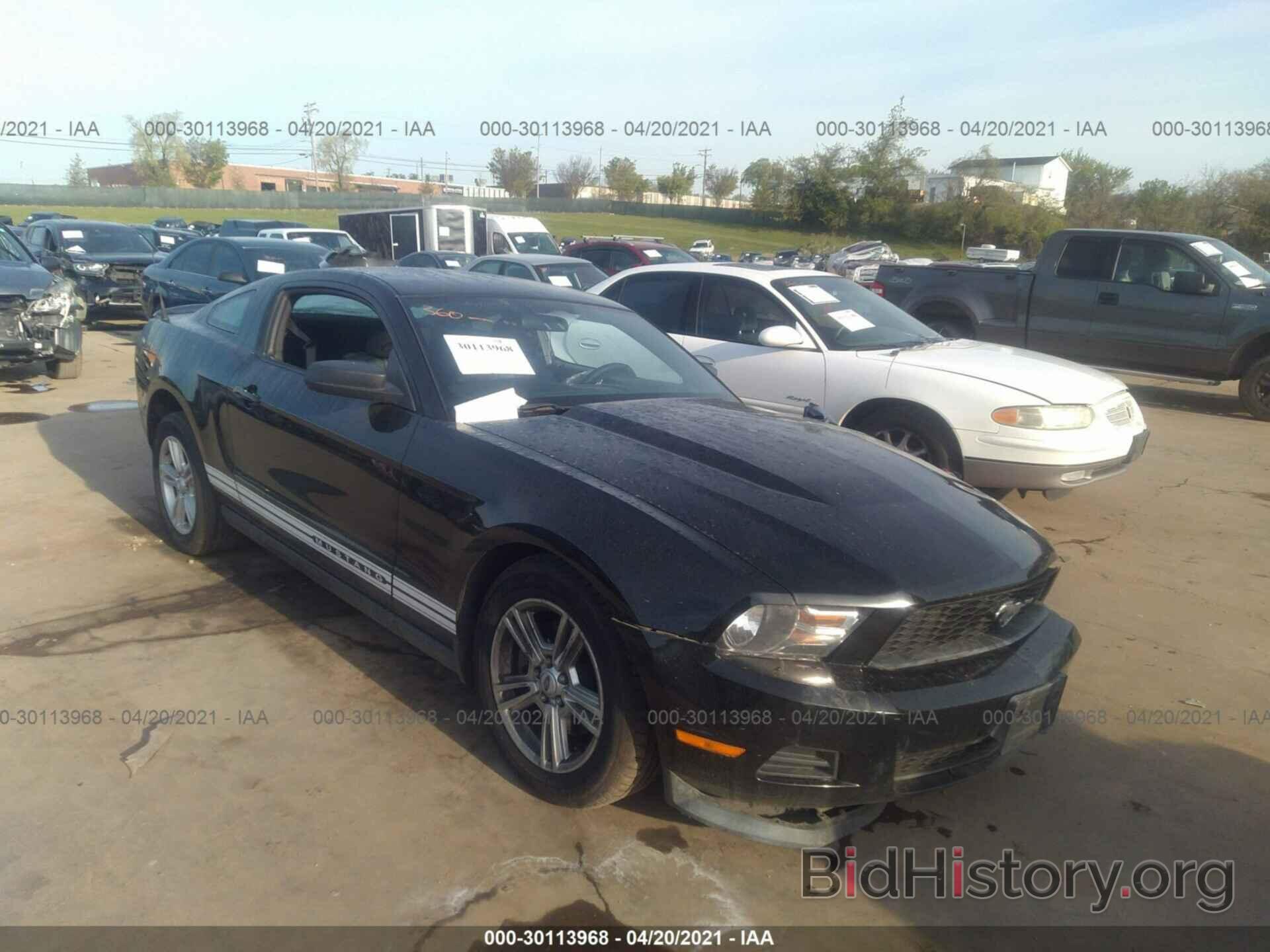 Photo 1ZVBP8AM3B5135836 - FORD MUSTANG 2011