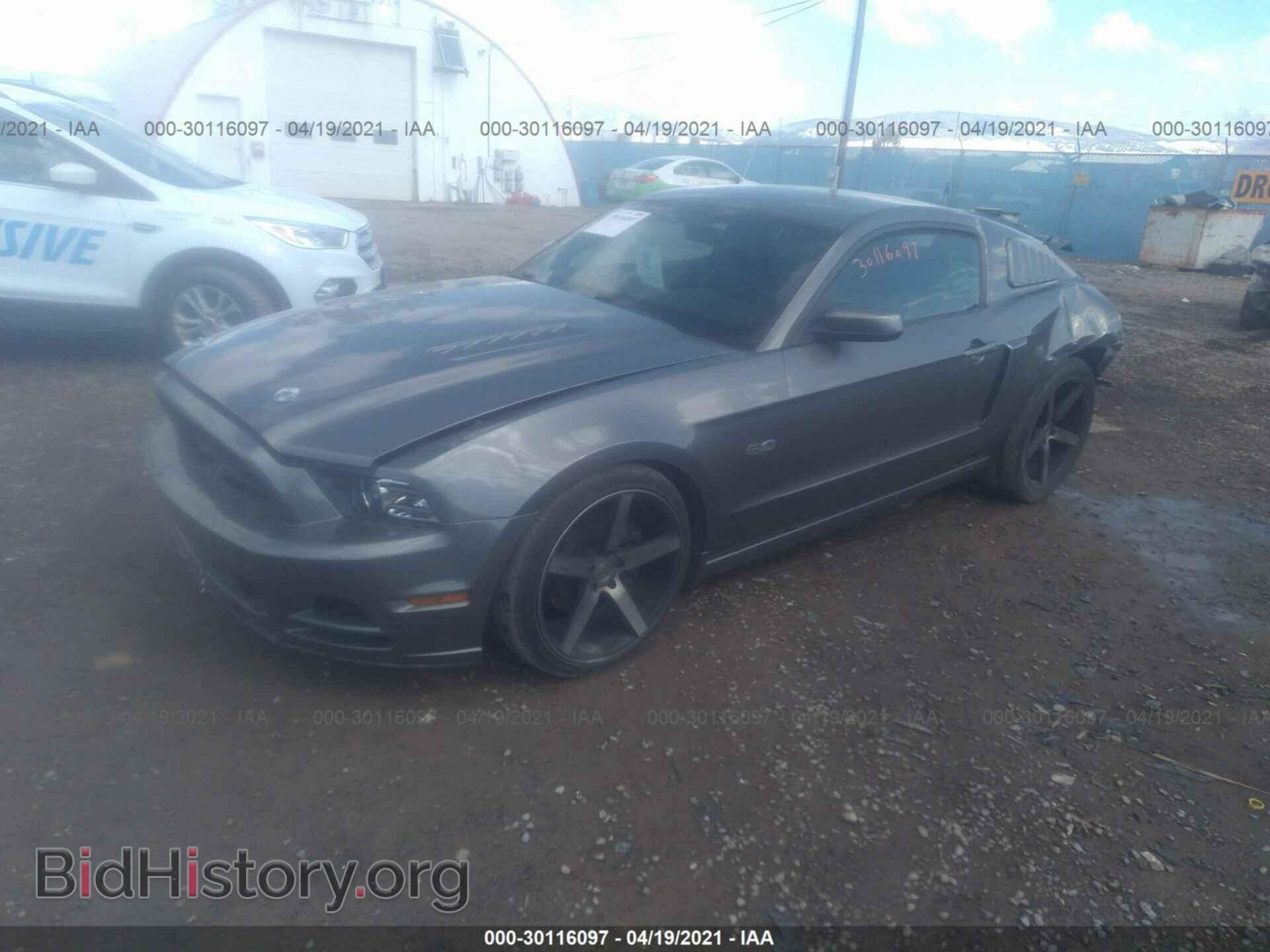 2014 FORD MUSTANG - VIN: 1ZVBP8CF4E5202432 - Фото 2