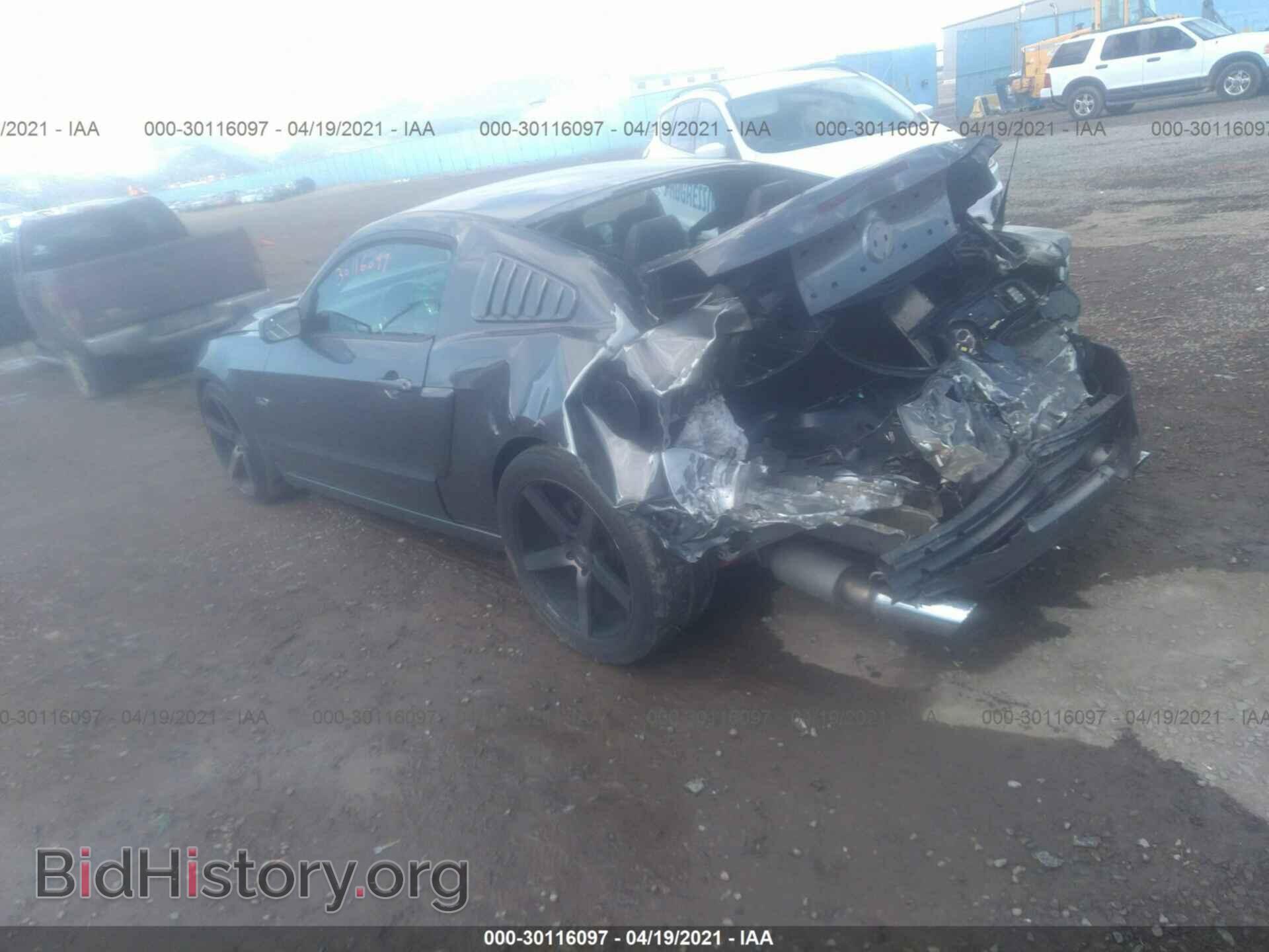 2014 FORD MUSTANG - VIN: 1ZVBP8CF4E5202432 - Фото 3