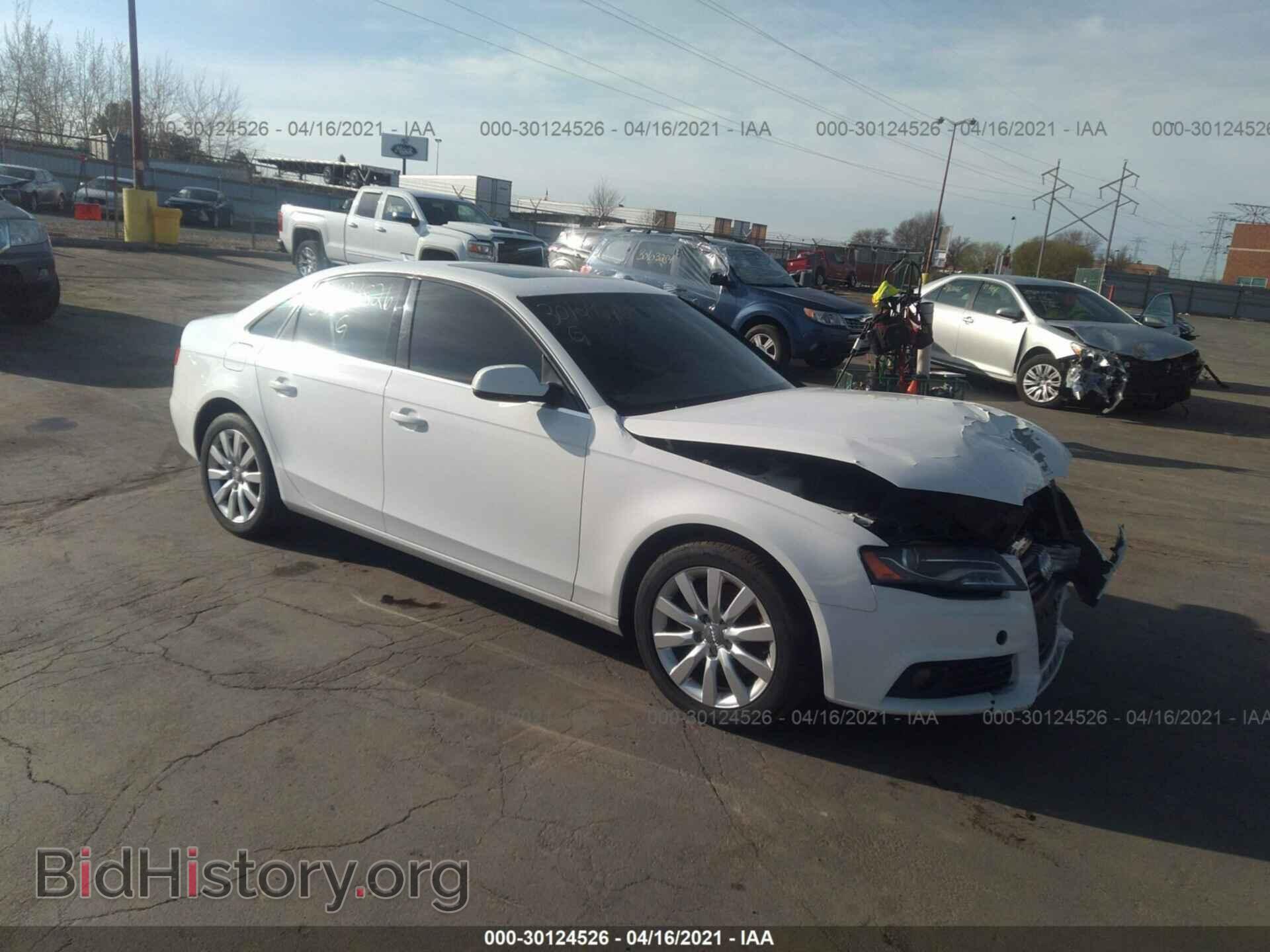 Фотография WAUFFAFL0BN018047 - AUDI A4 2011