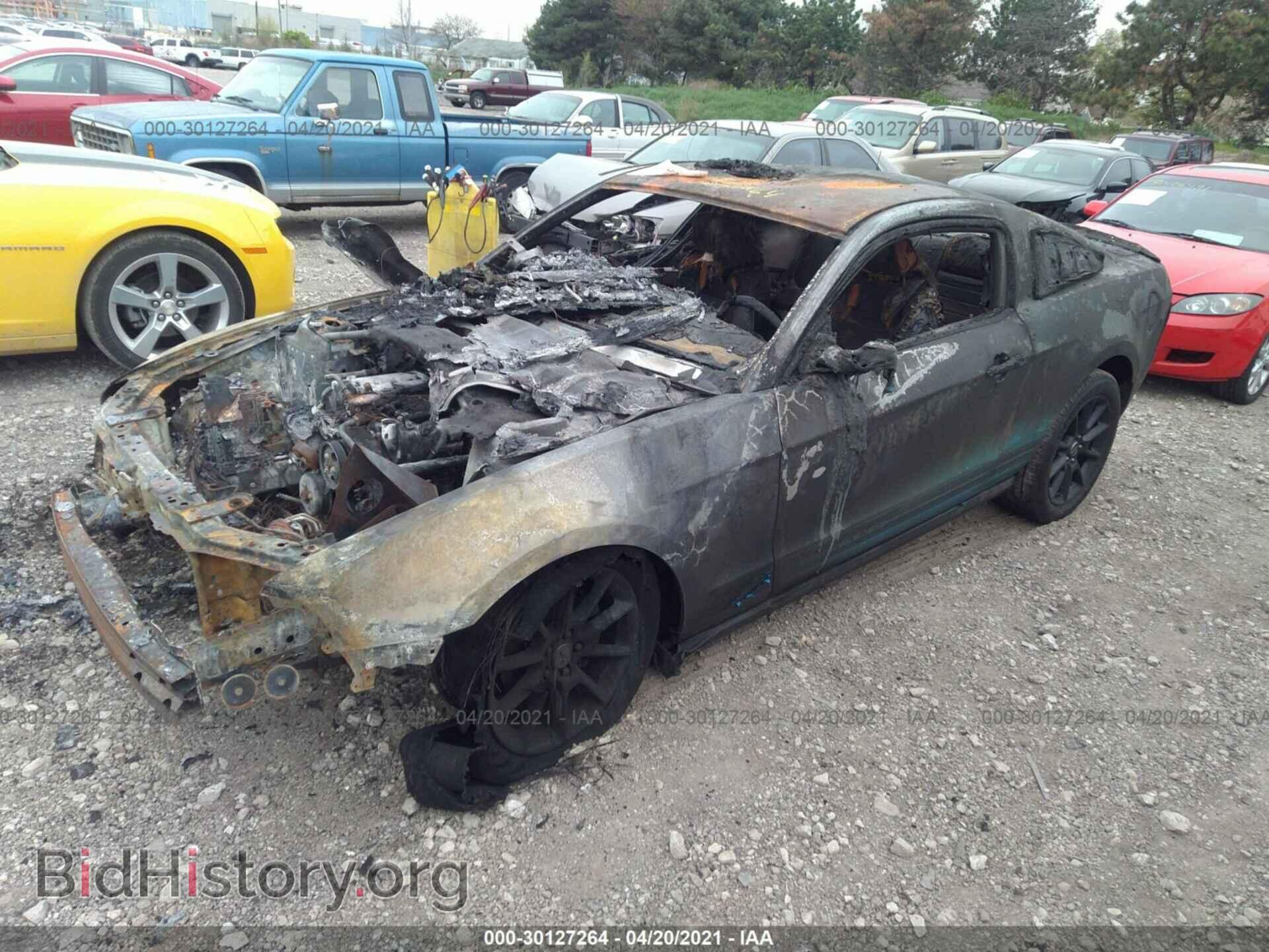 2010 FORD MUSTANG - VIN: 1ZVBP8AN1A5143246 - Фото 2
