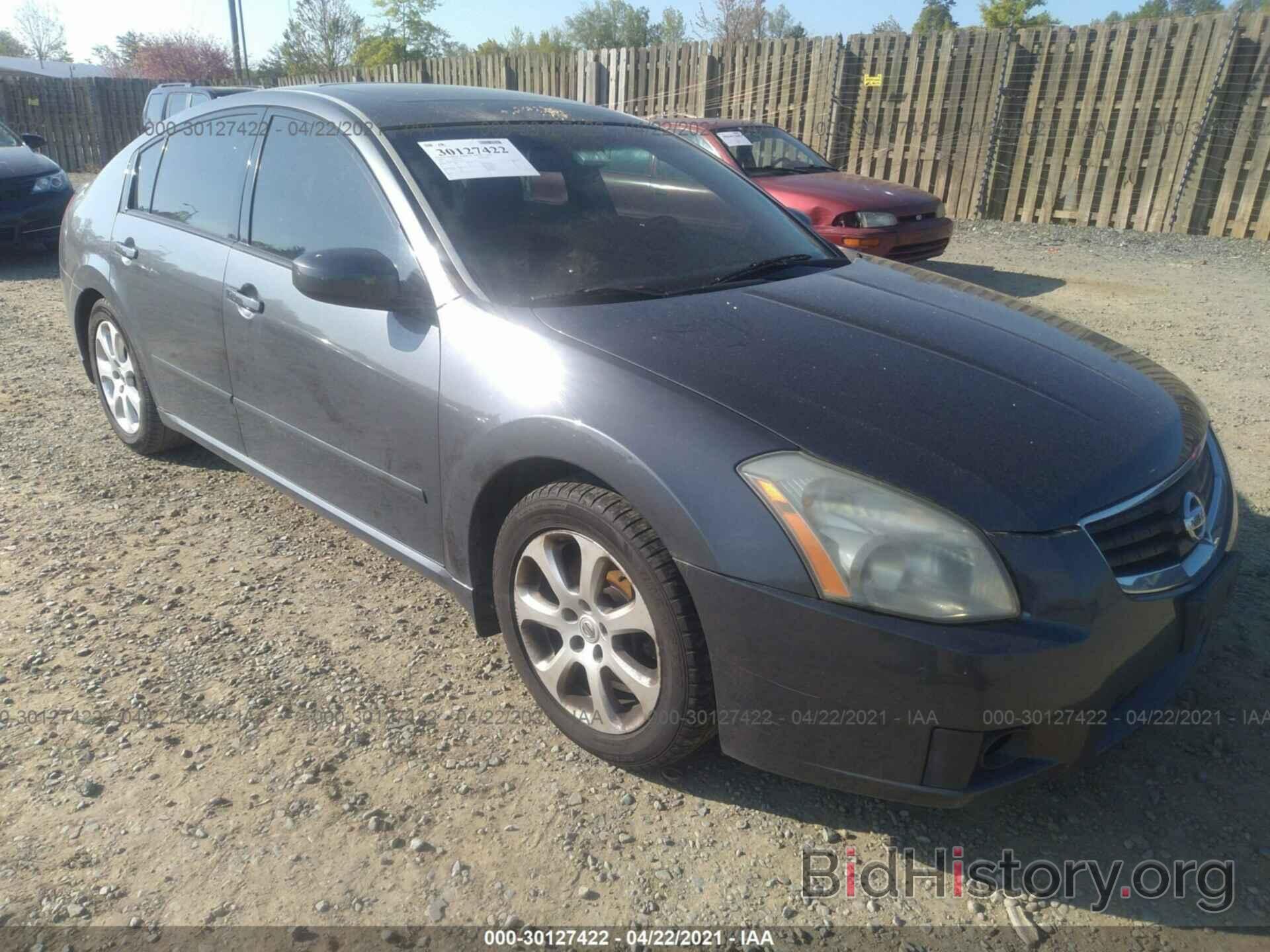 Photo 1N4BA41E98C837207 - NISSAN MAXIMA 2008