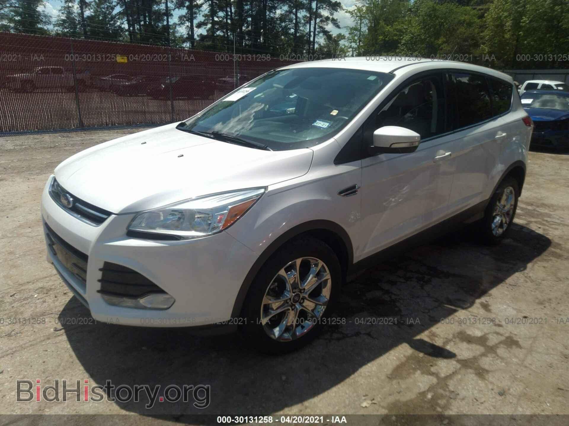 2013 FORD ESCAPE - VIN: 1FMCU0H95DUD53302 - Фото 2
