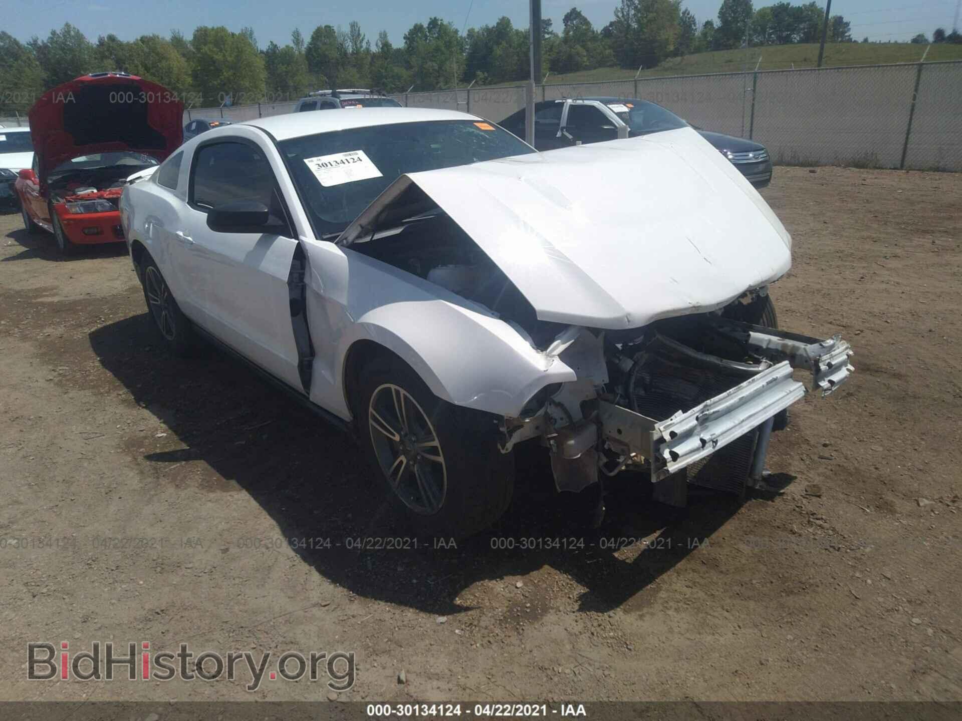 Photo 1ZVBP8AM0C5207772 - FORD MUSTANG 2012