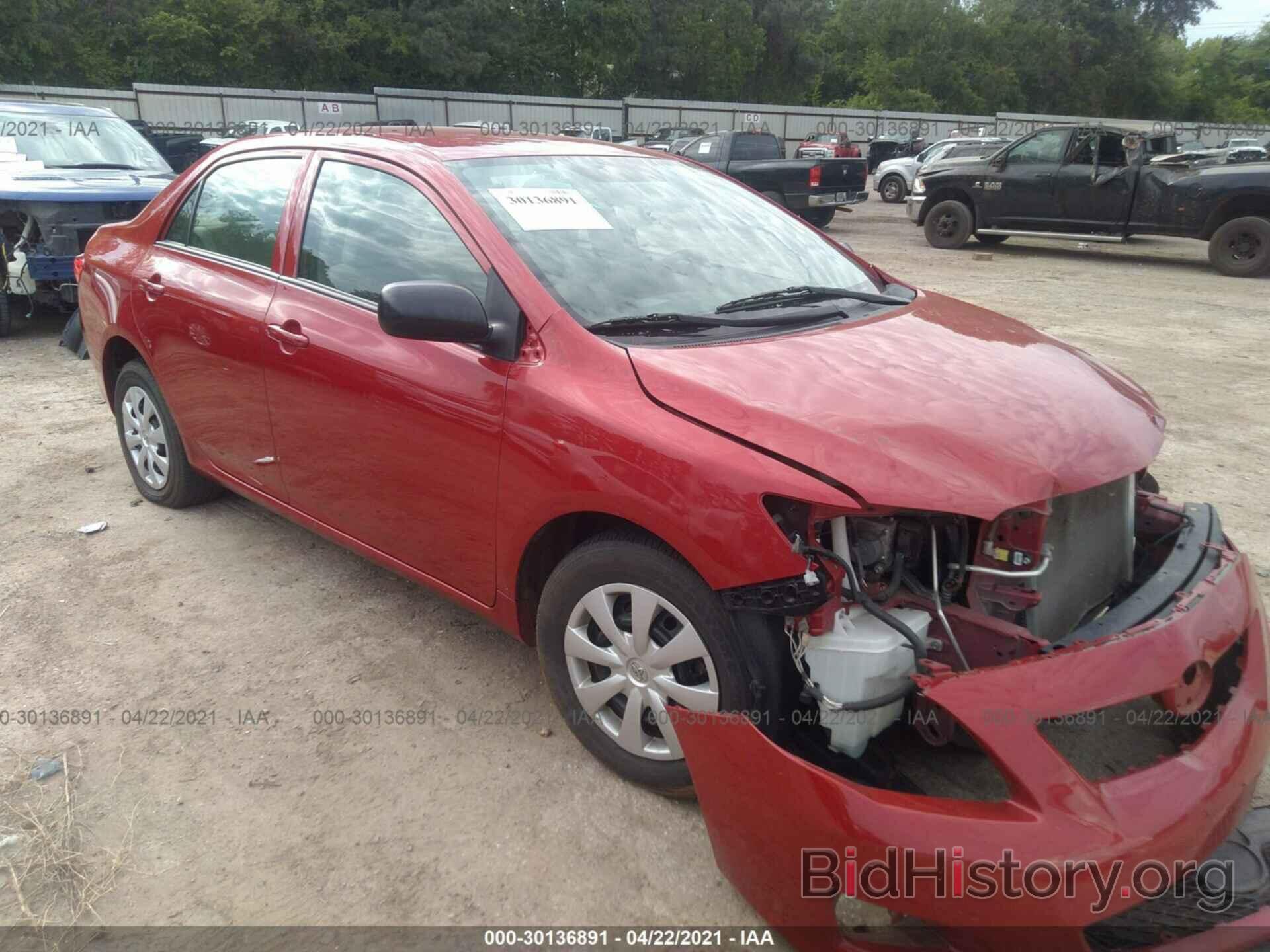 Photo 2T1BU4EE2AC302924 - TOYOTA COROLLA 2010